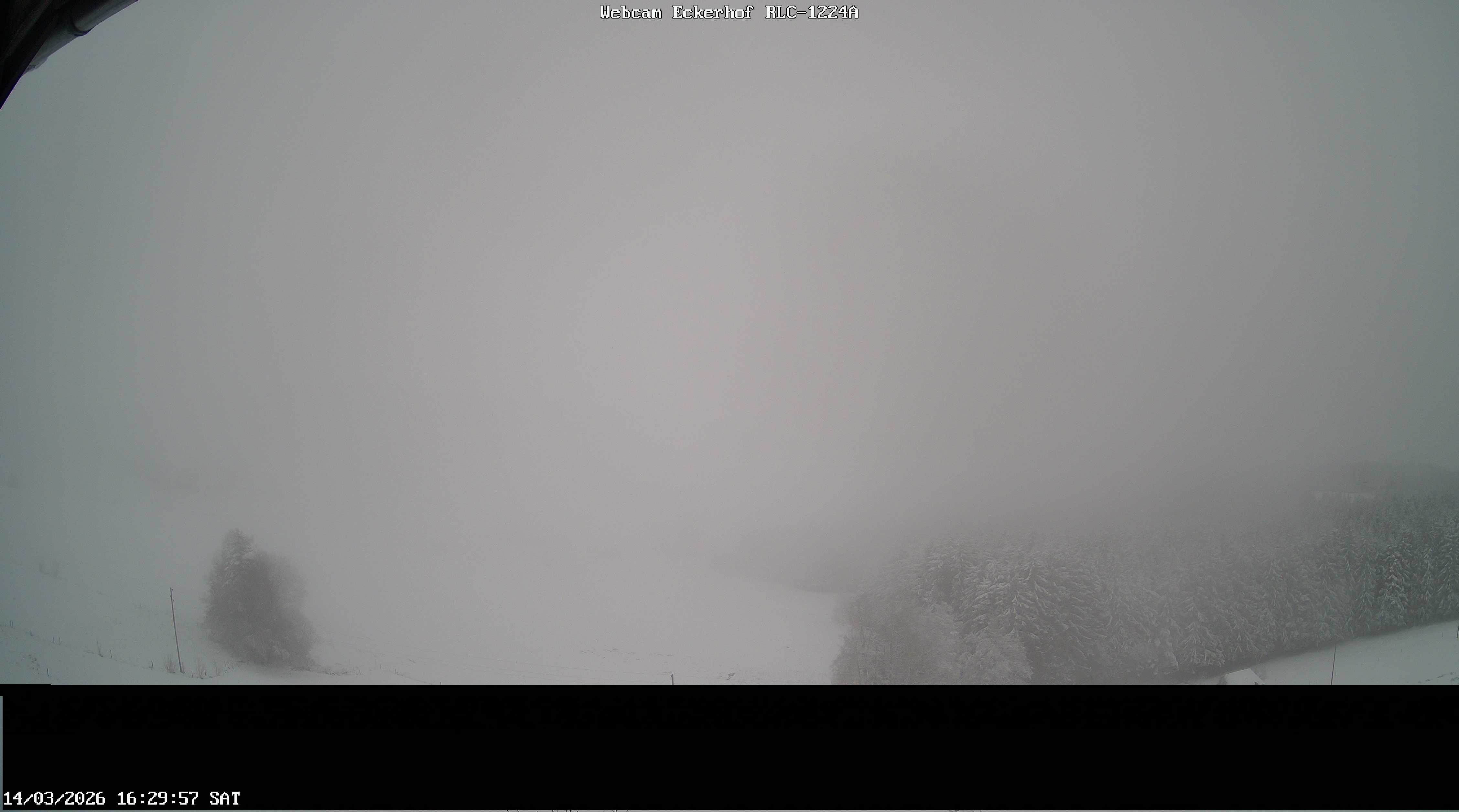 Archiv Foto Webcam Breitnau (Schwarzwald)