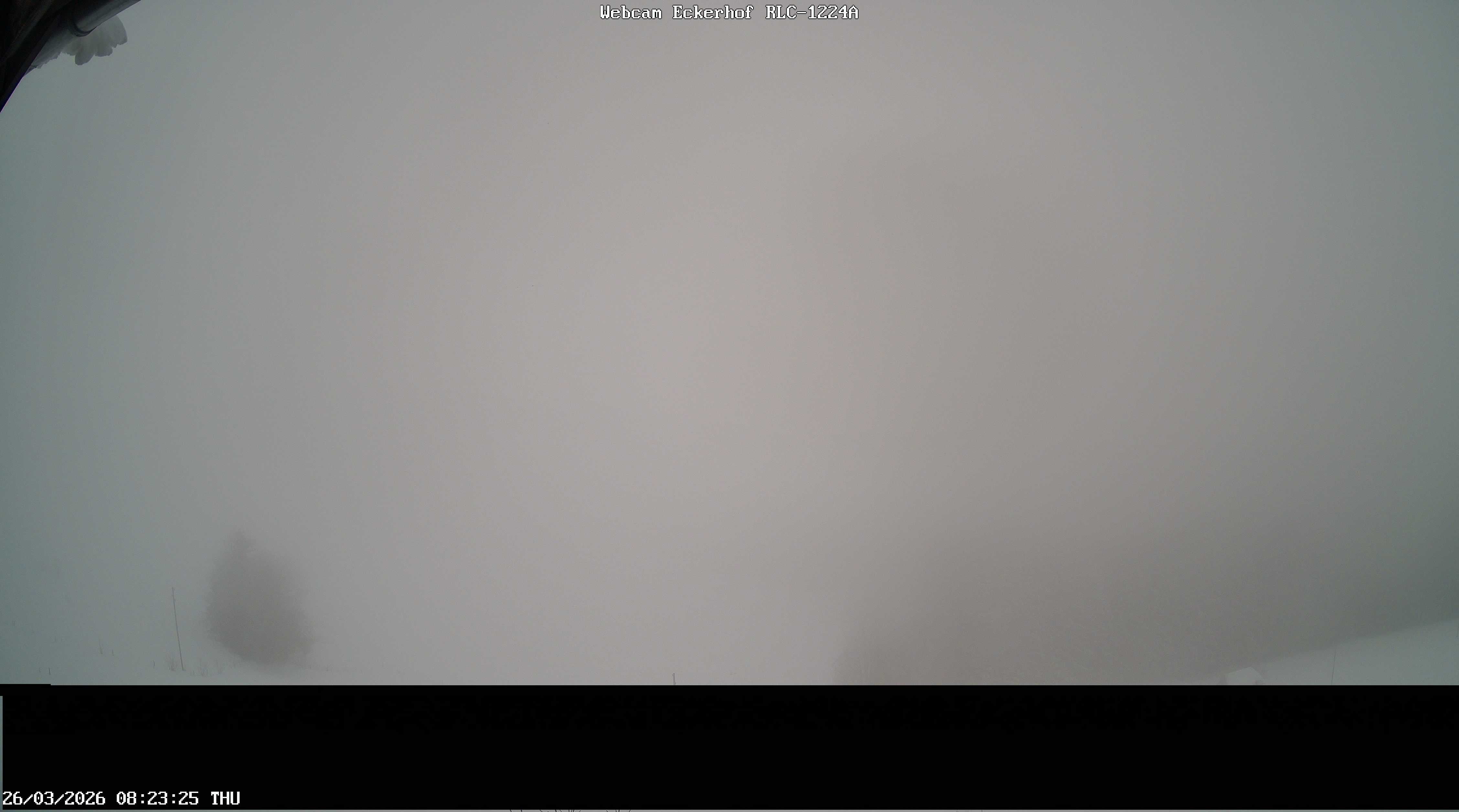 Archiv Foto Webcam Breitnau (Schwarzwald)