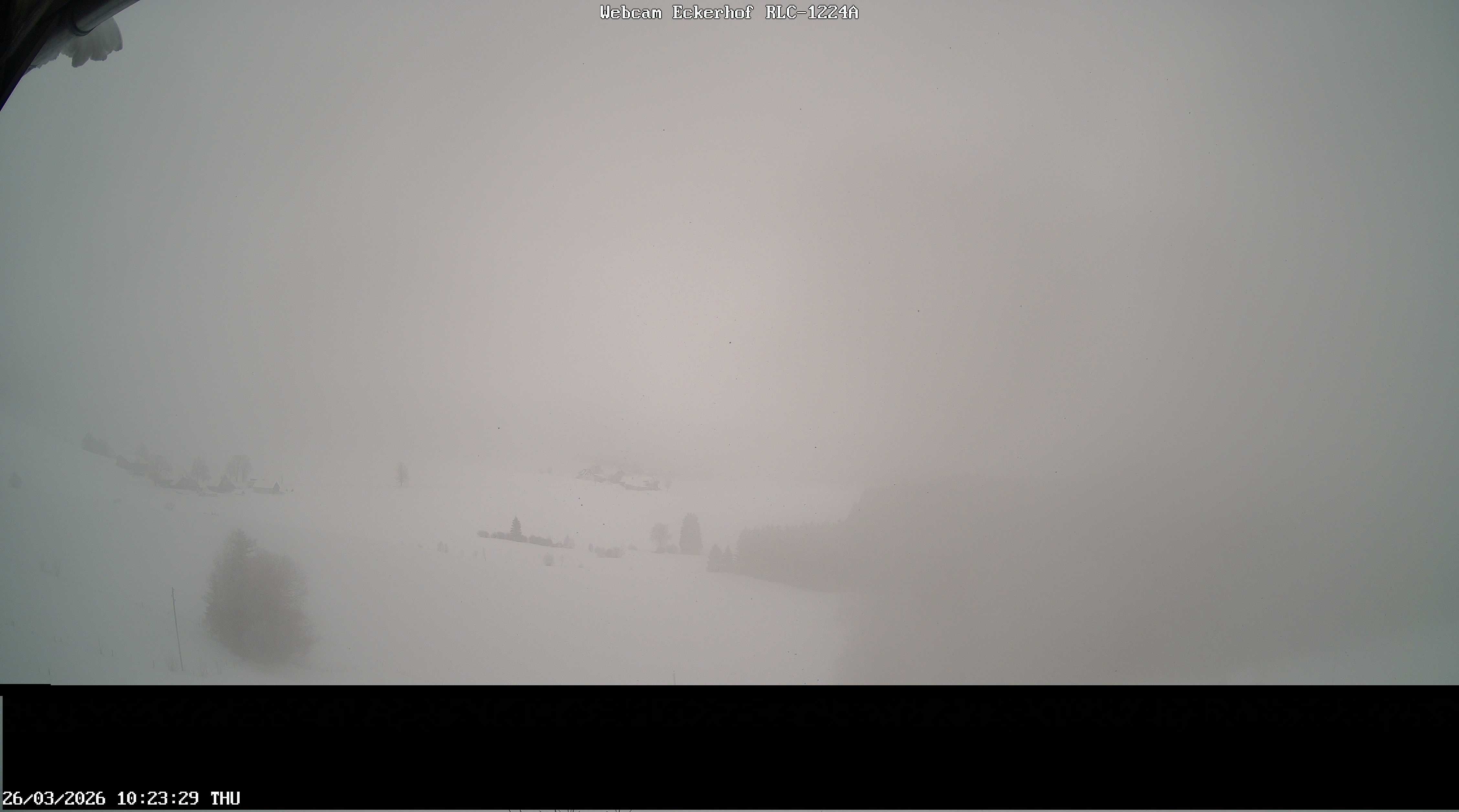 Archiv Foto Webcam Breitnau (Schwarzwald)