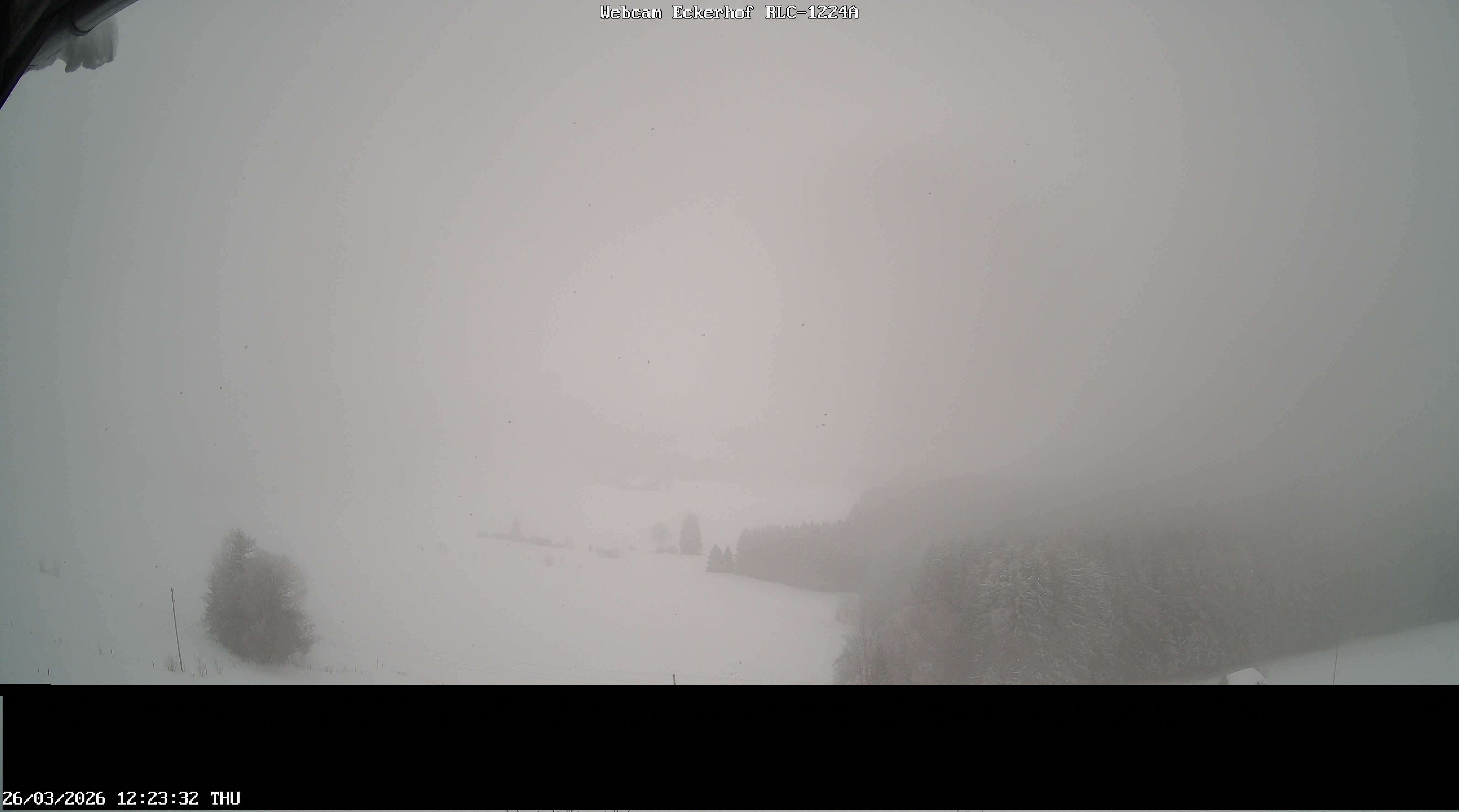 Archiv Foto Webcam Breitnau (Schwarzwald)