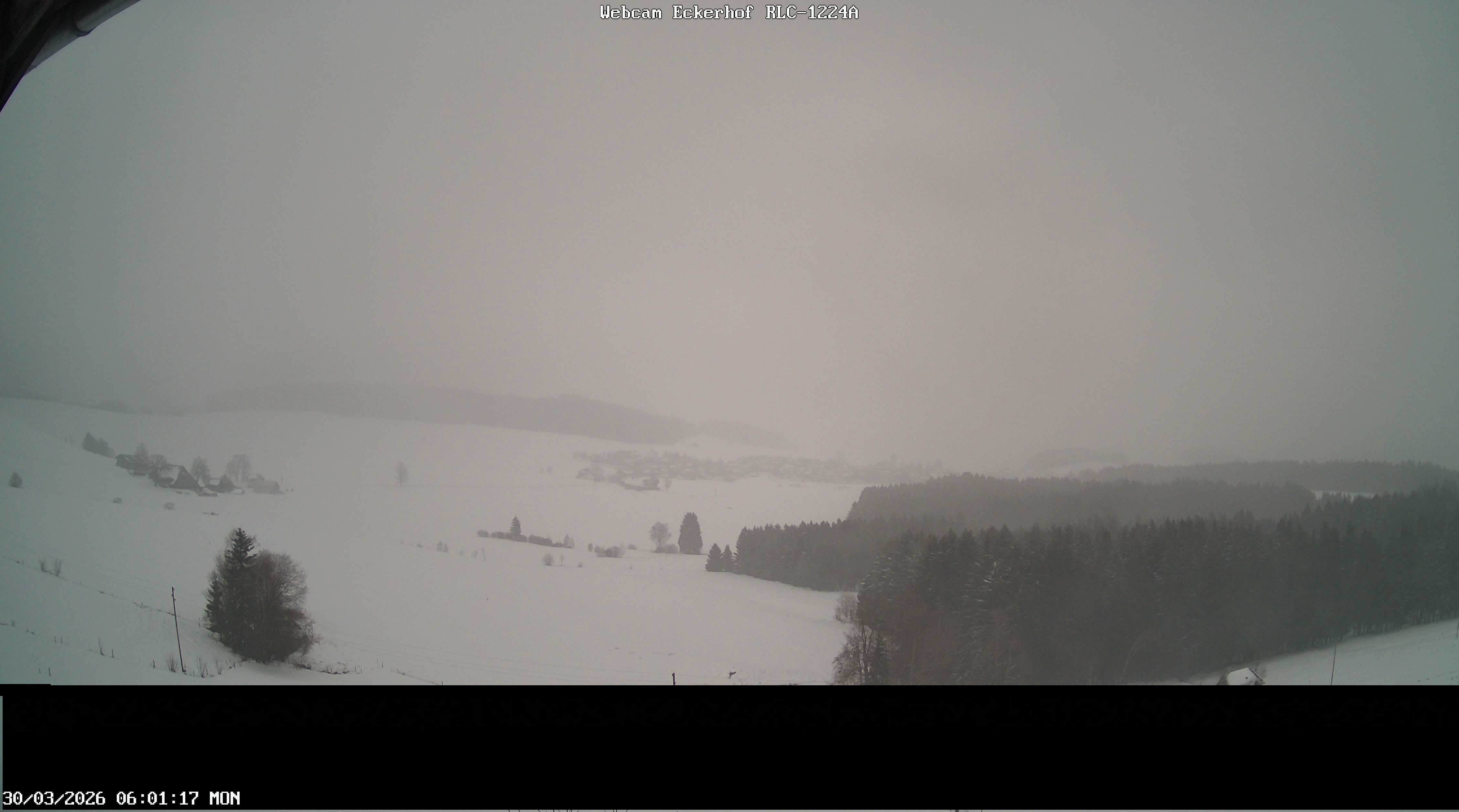 Archiv Foto Webcam Breitnau (Schwarzwald)