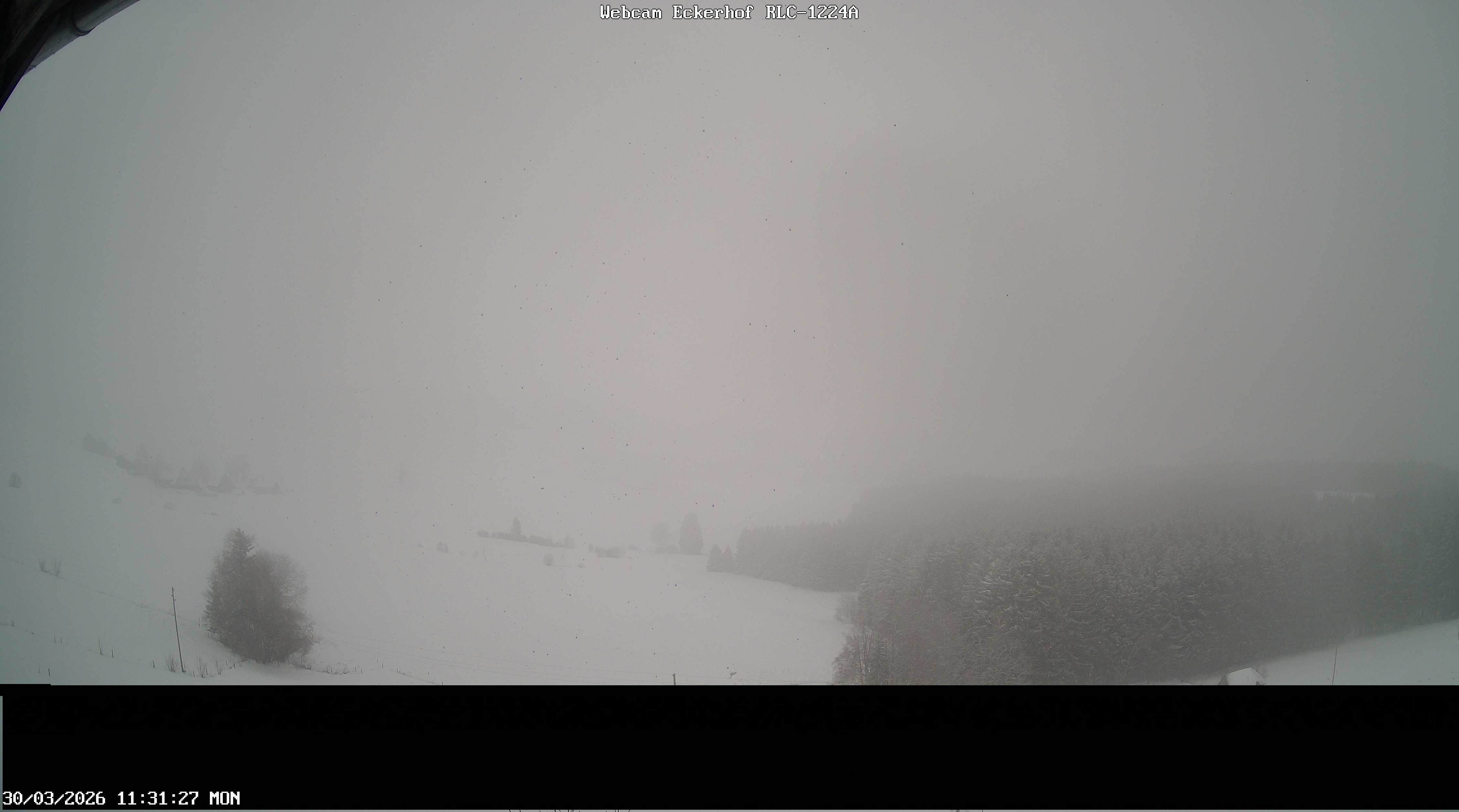 Archiv Foto Webcam Breitnau (Schwarzwald)