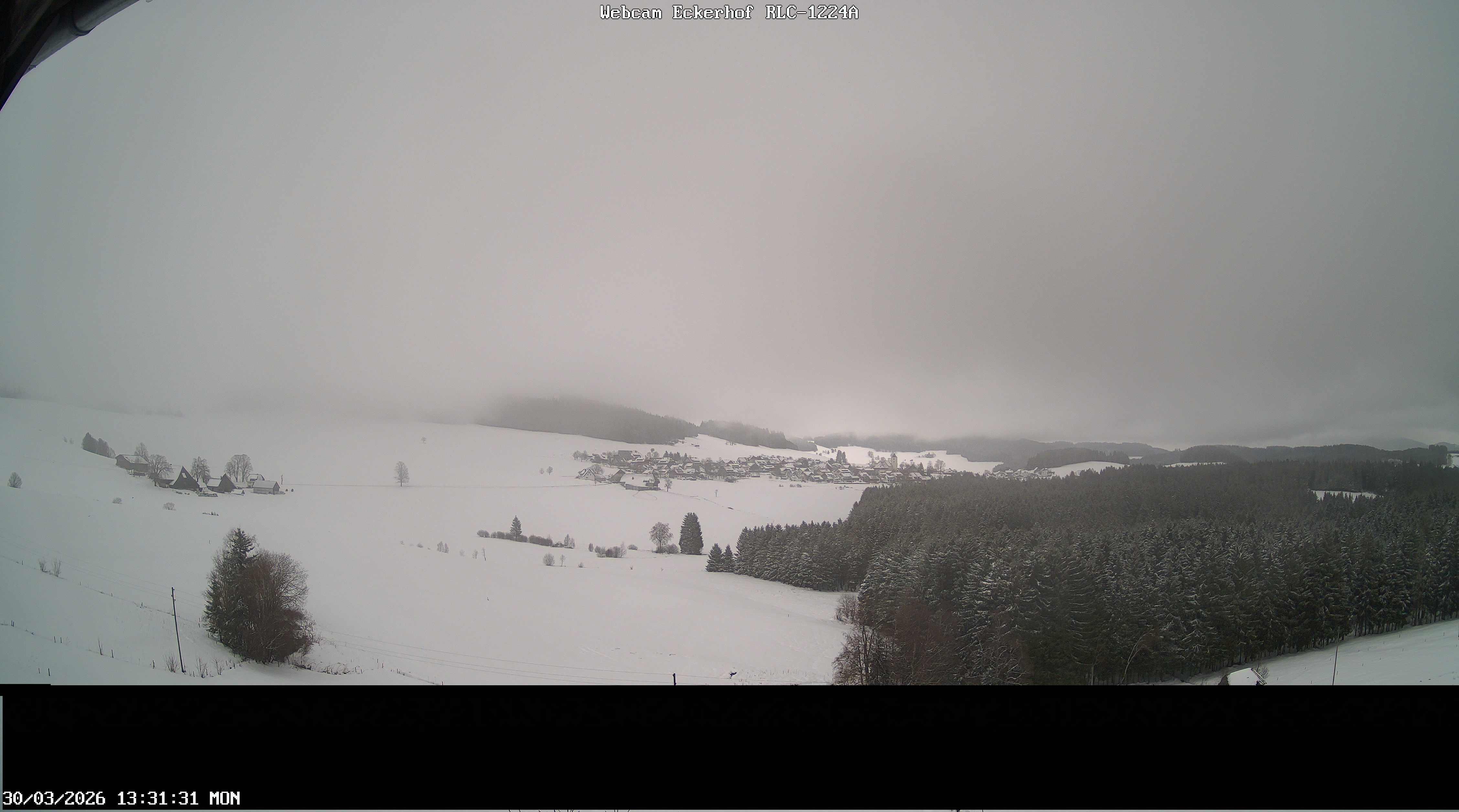 Archiv Foto Webcam Breitnau (Schwarzwald)
