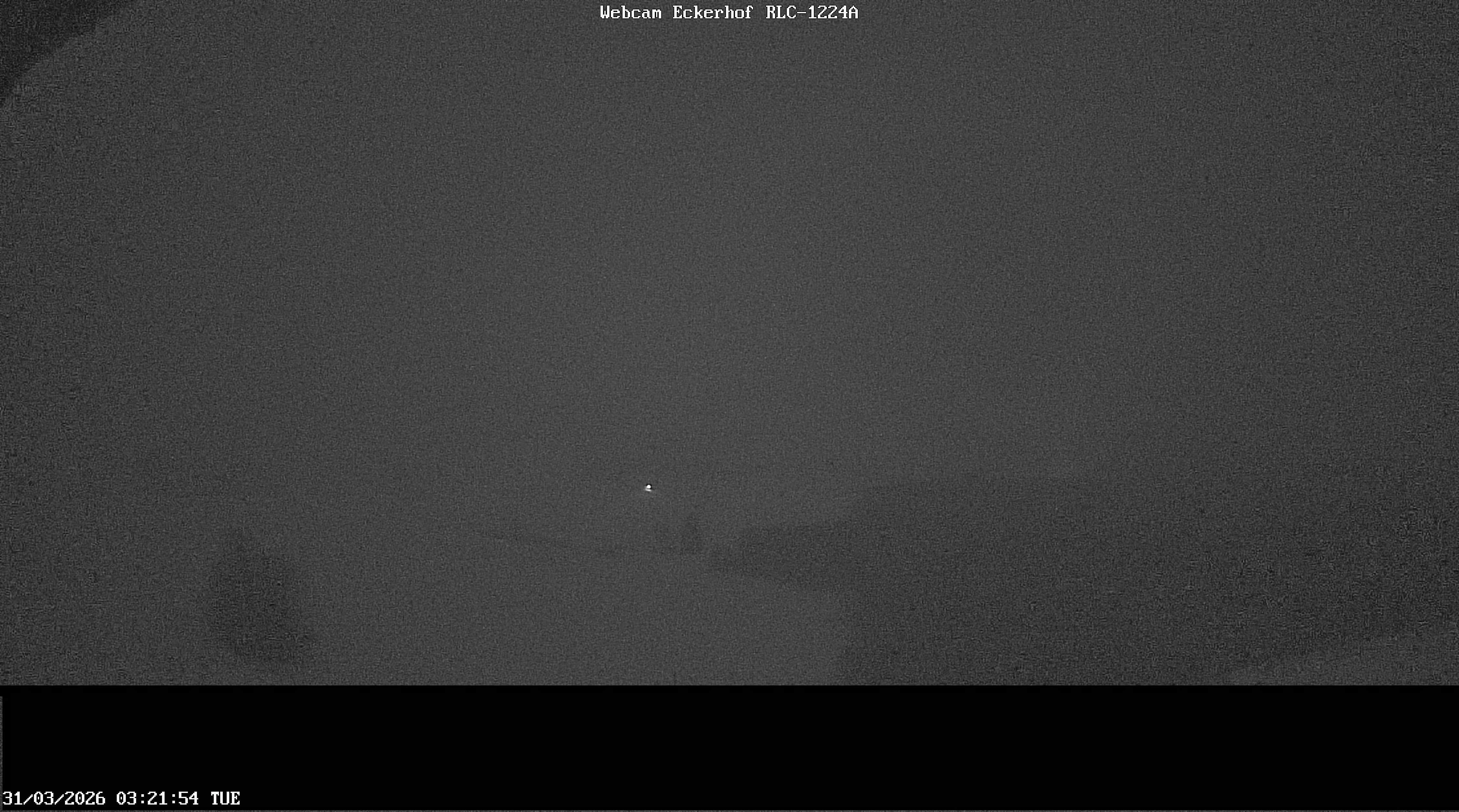 Archiv Foto Webcam Breitnau (Schwarzwald)