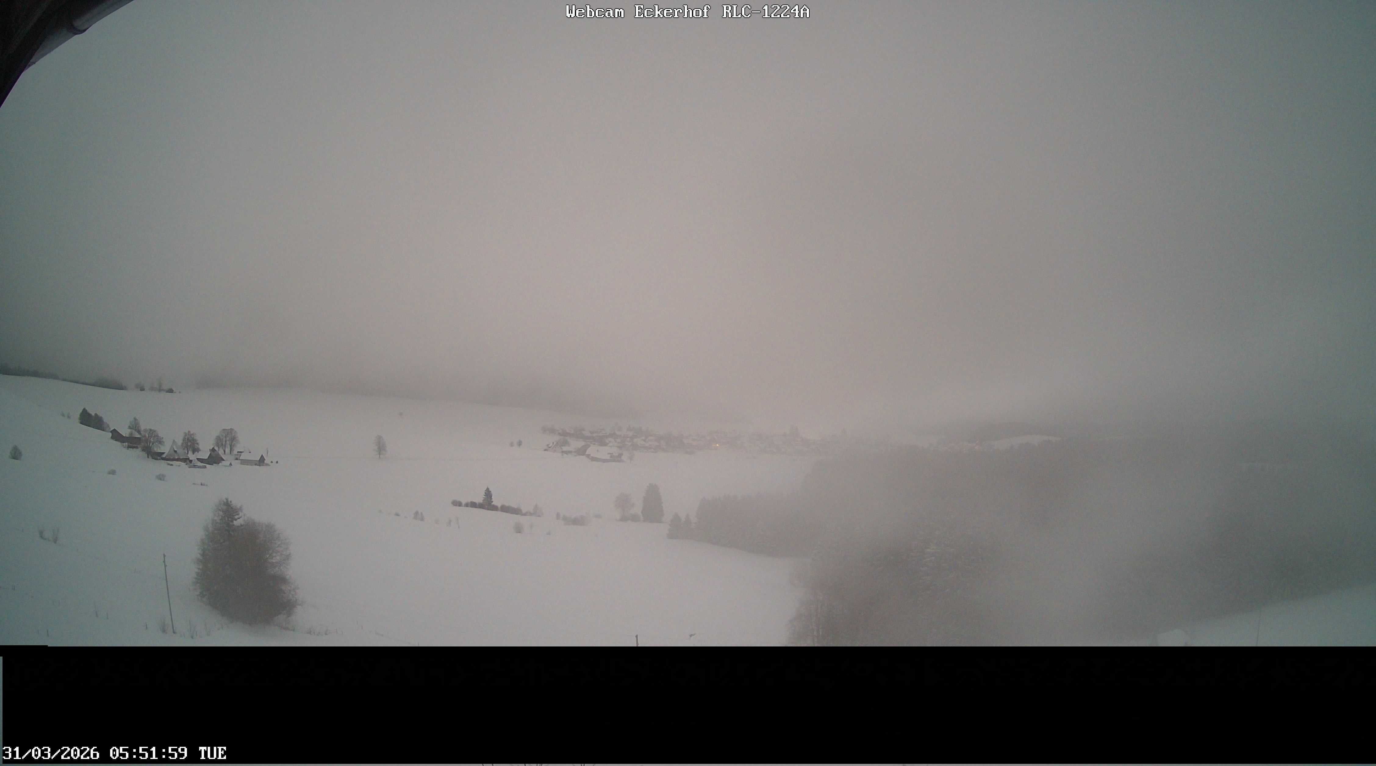 Archiv Foto Webcam Breitnau (Schwarzwald)