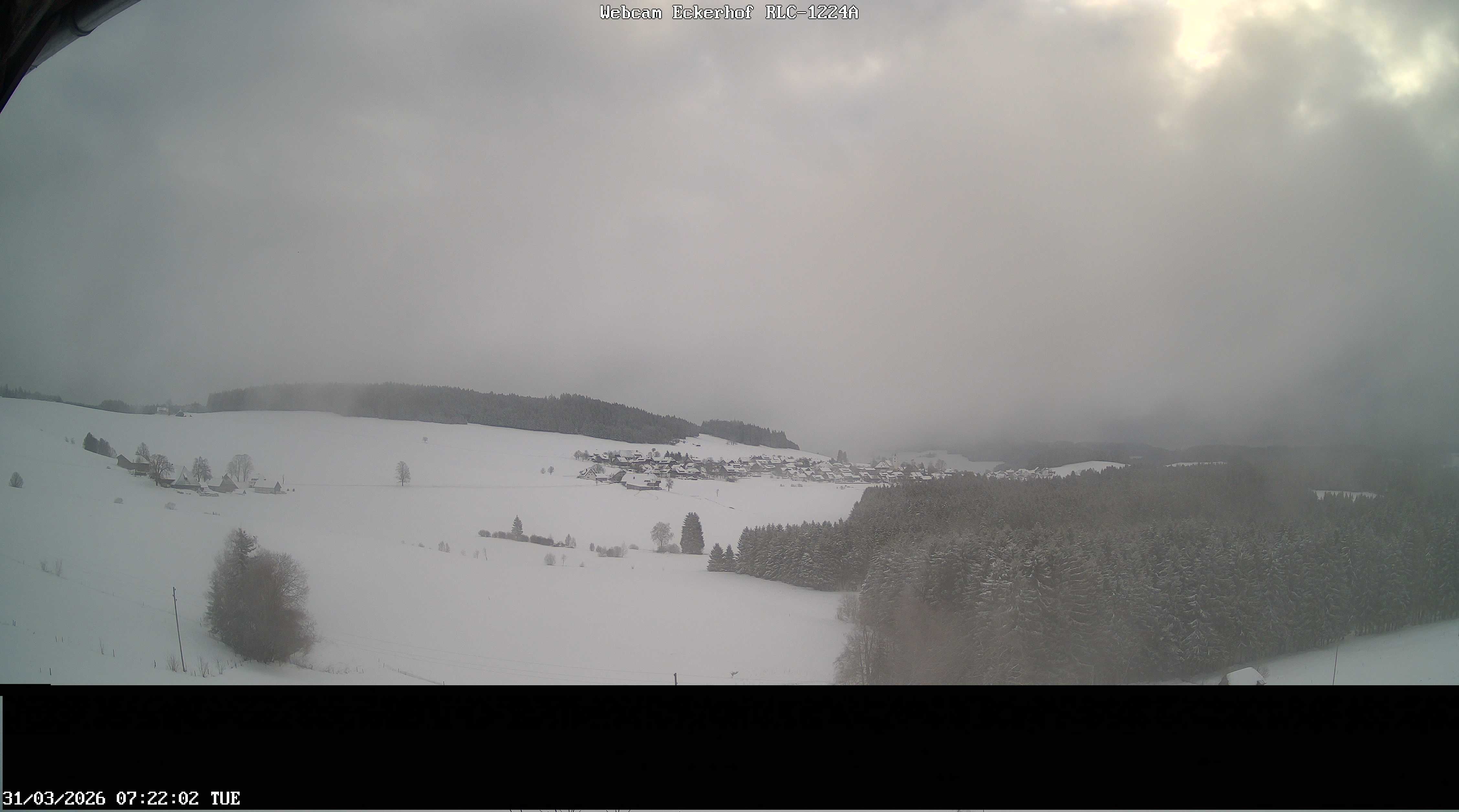 Archiv Foto Webcam Breitnau (Schwarzwald)