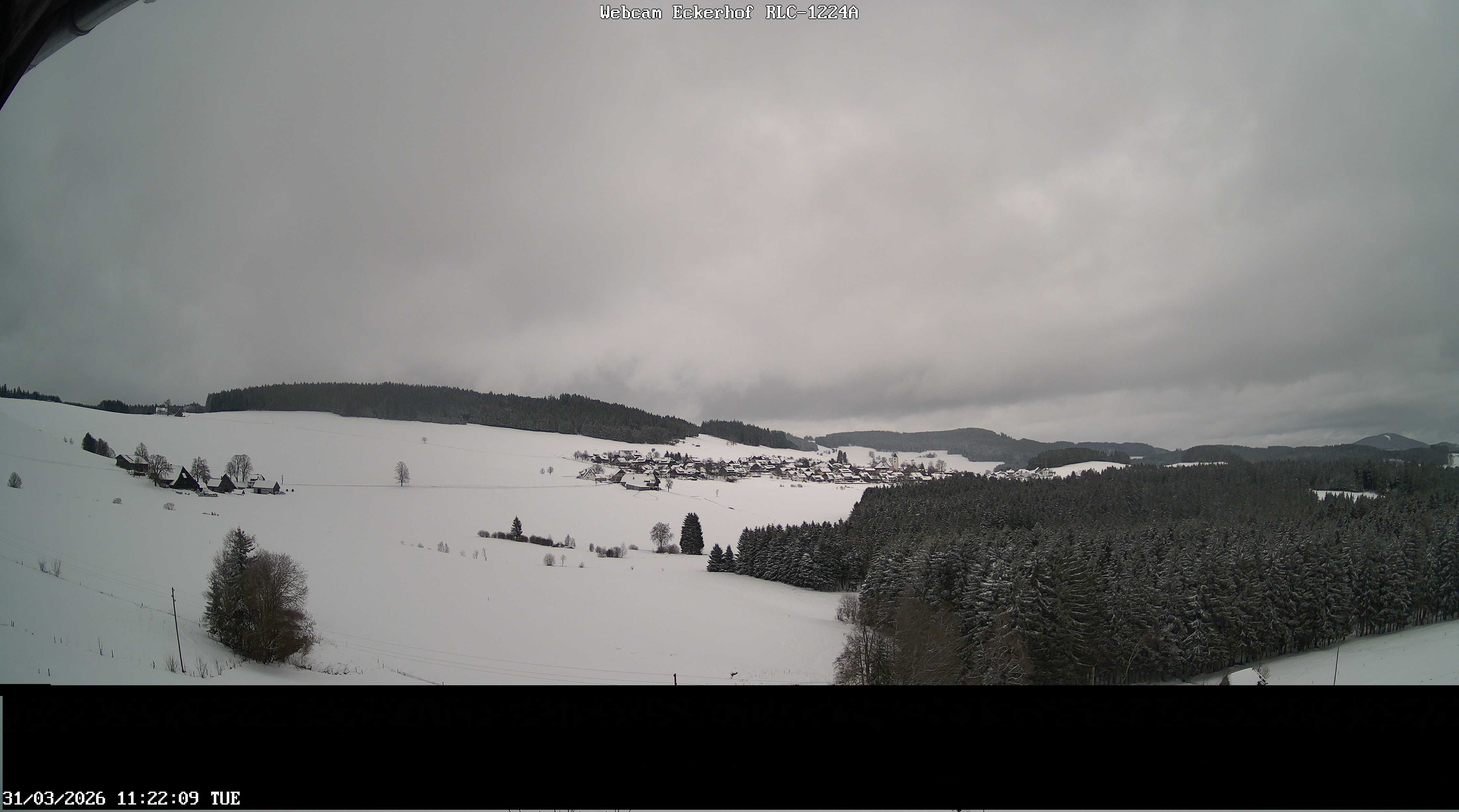 Archiv Foto Webcam Breitnau (Schwarzwald)