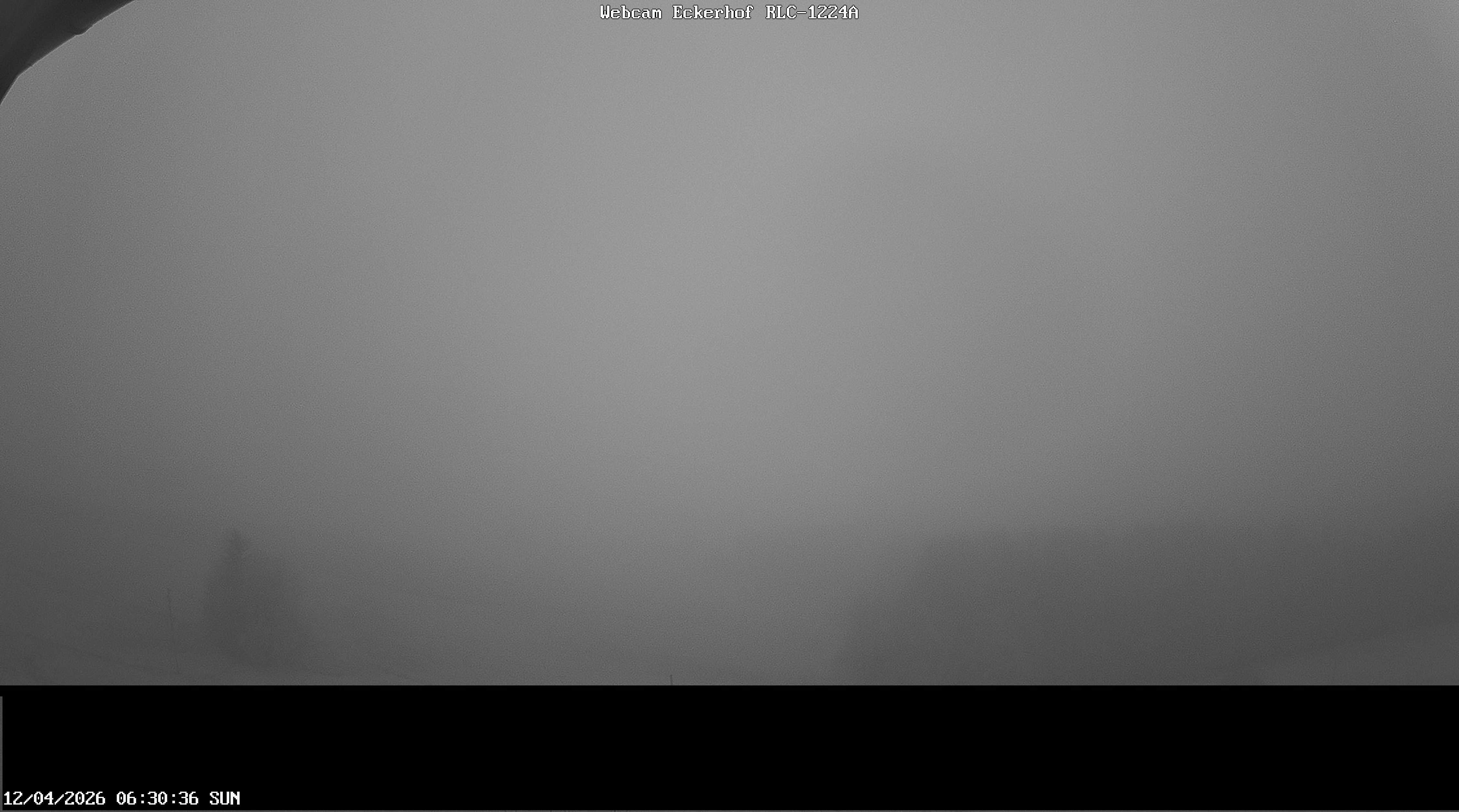 Archived image Webcam Breitnau (Black Forest)