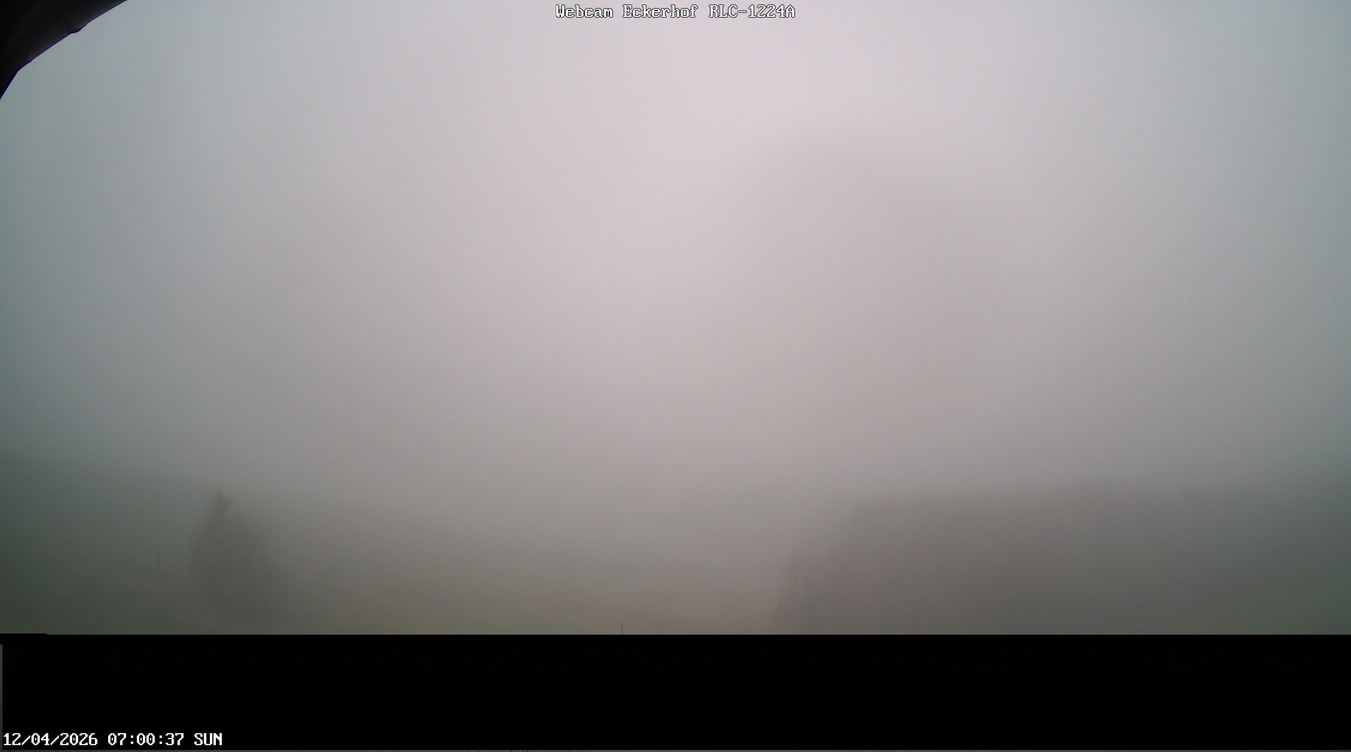 Archived image Webcam Breitnau (Black Forest)