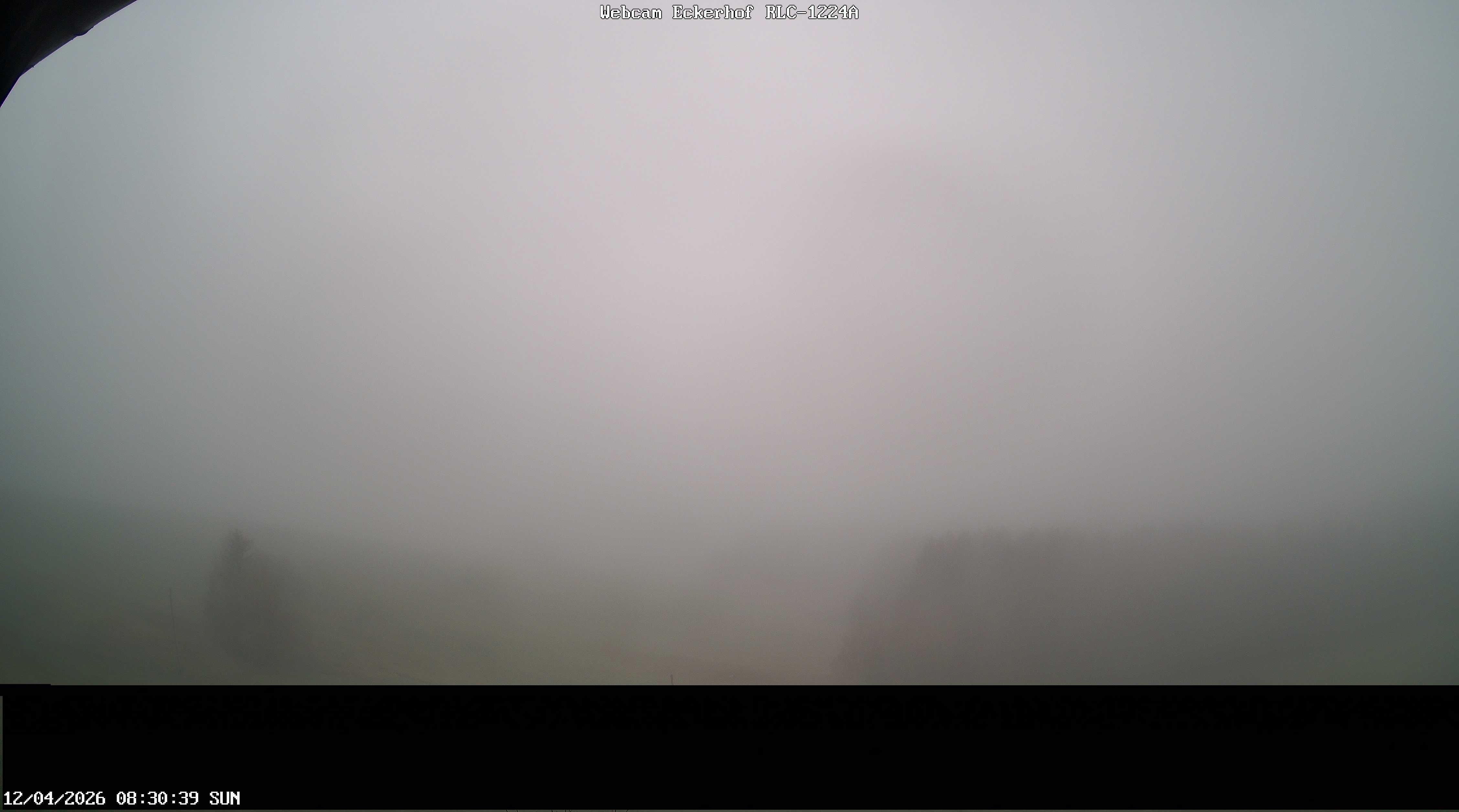 Archived image Webcam Breitnau (Black Forest)