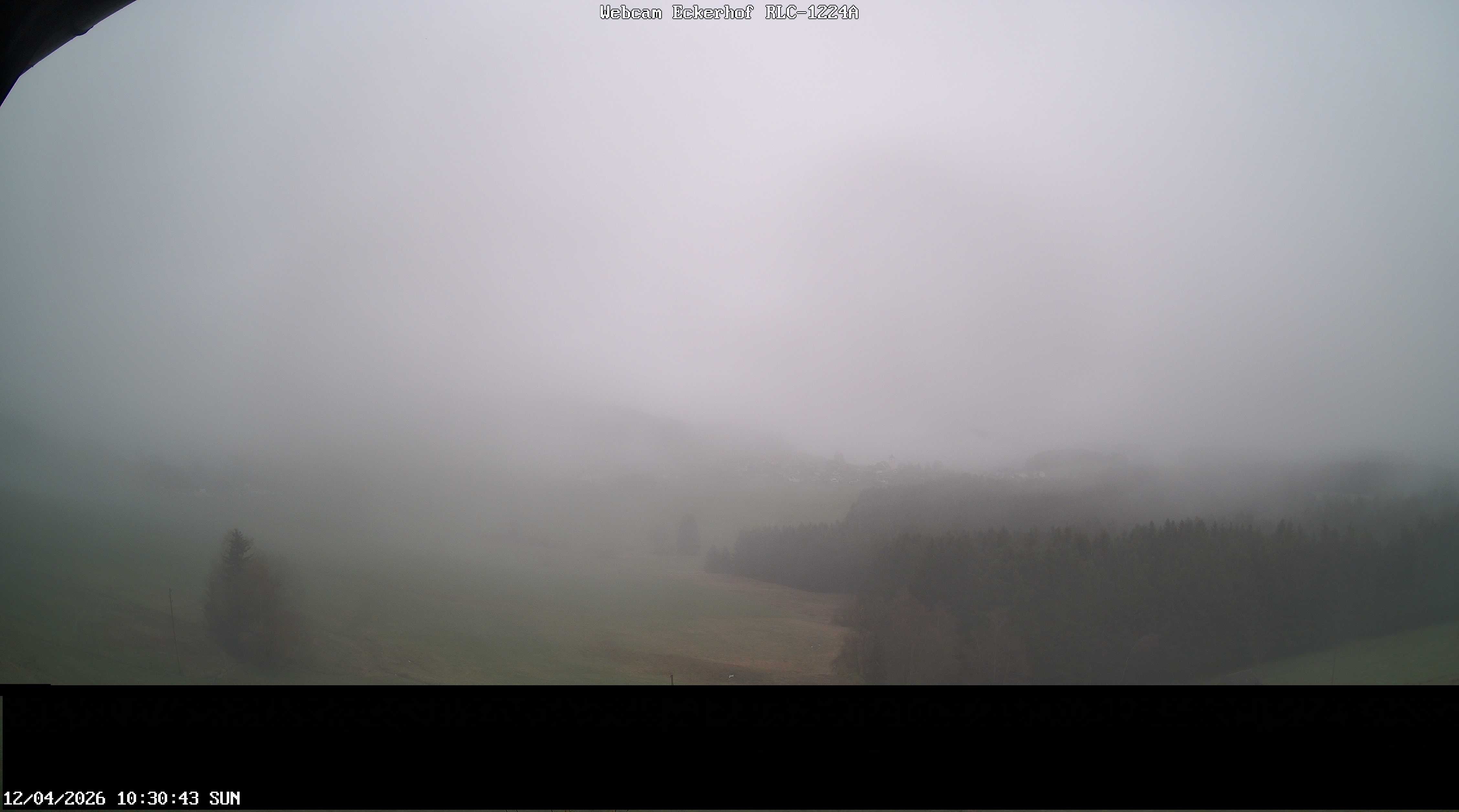 Archived image Webcam Breitnau (Black Forest)