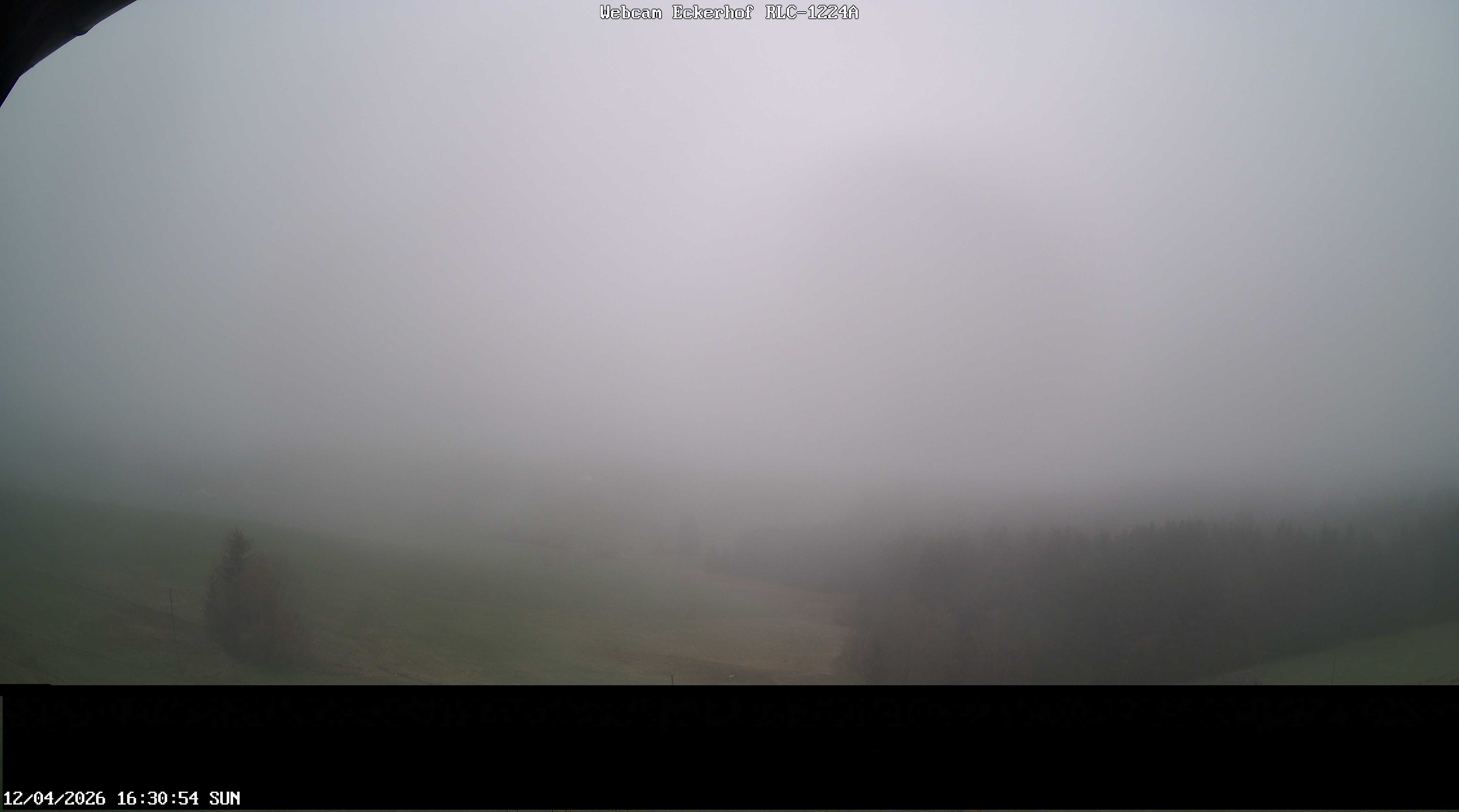 Archived image Webcam Breitnau (Black Forest)