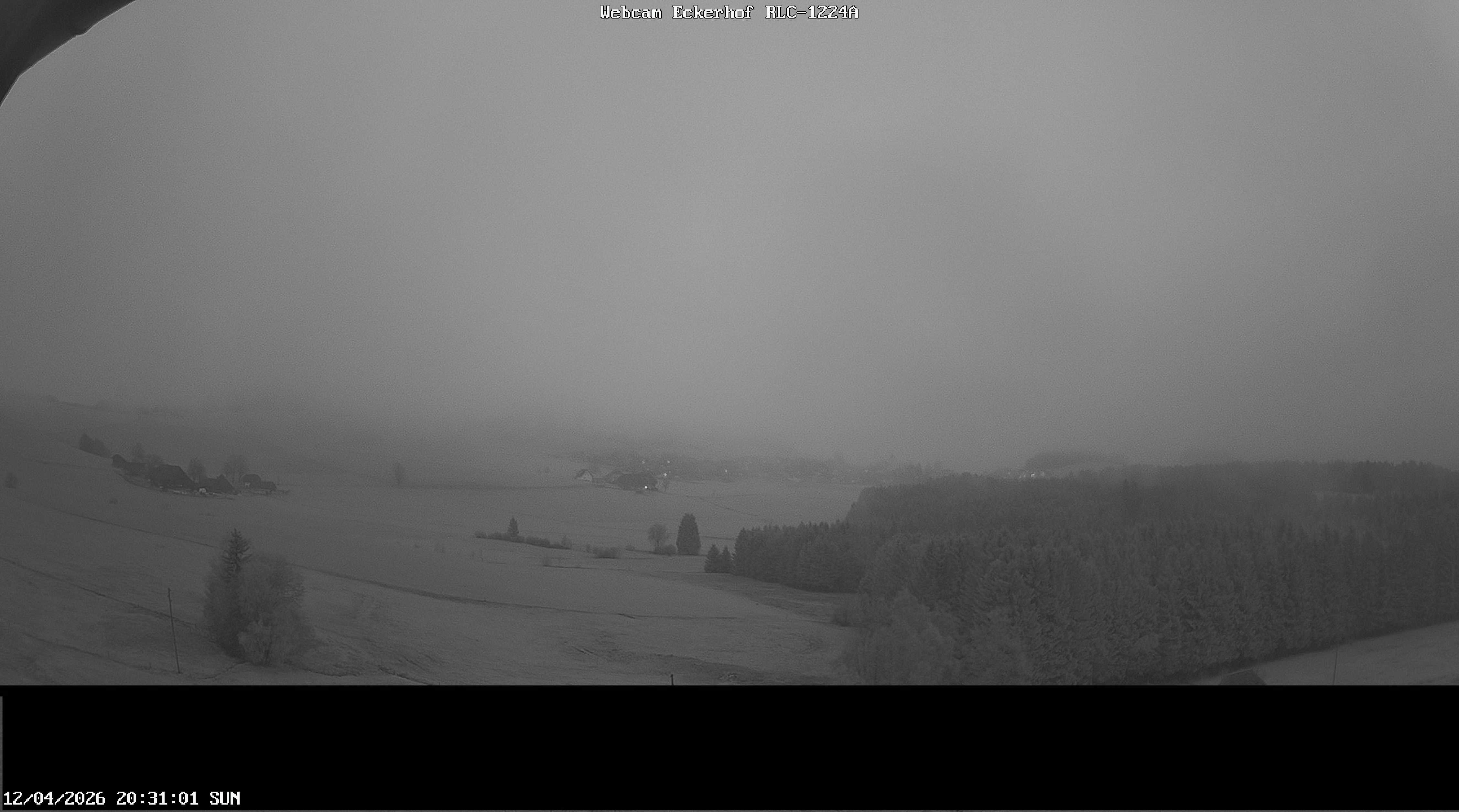 Archived image Webcam Breitnau (Black Forest)