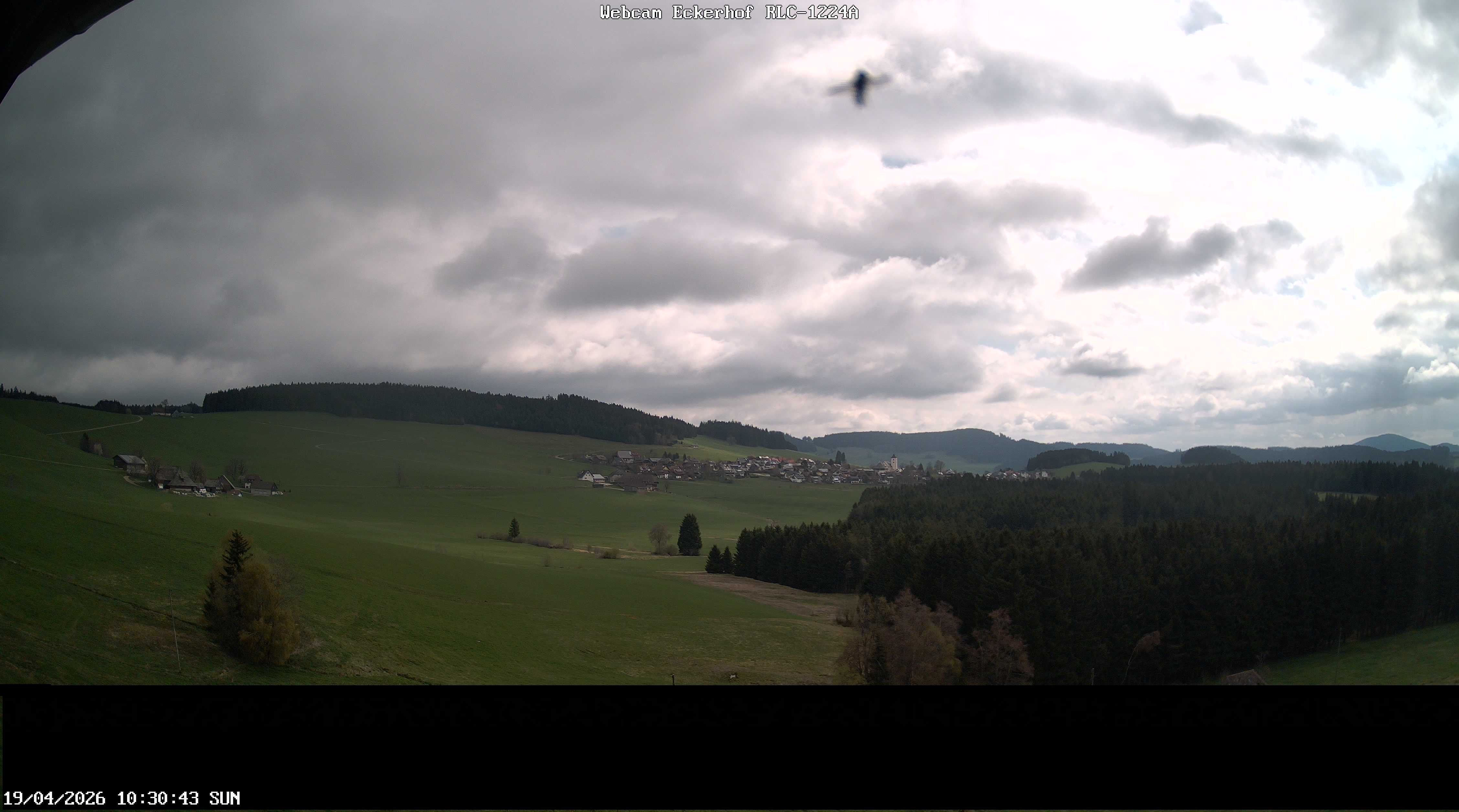 Archiv Foto Webcam Breitnau (Schwarzwald)