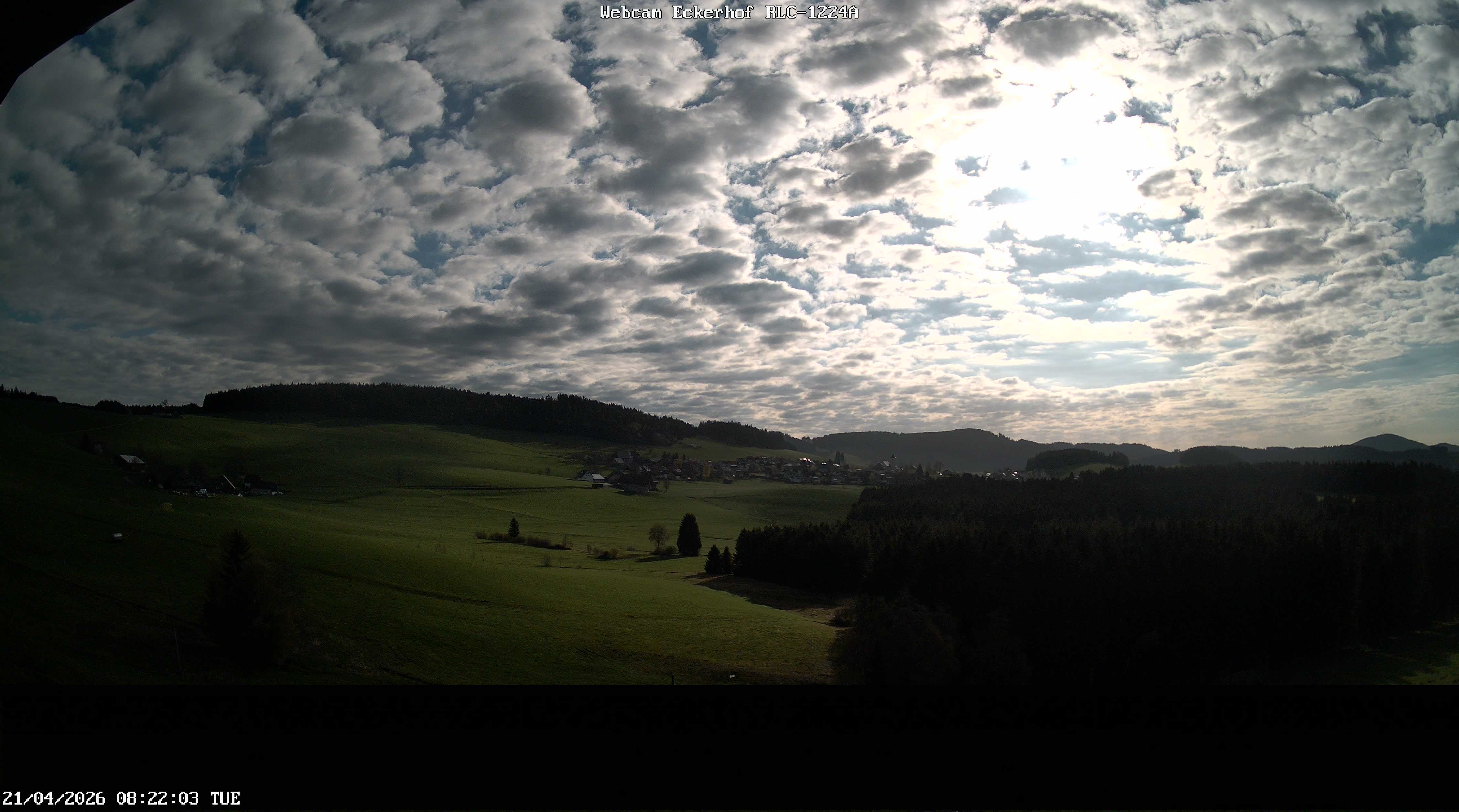 Archiv Foto Webcam Breitnau (Schwarzwald)