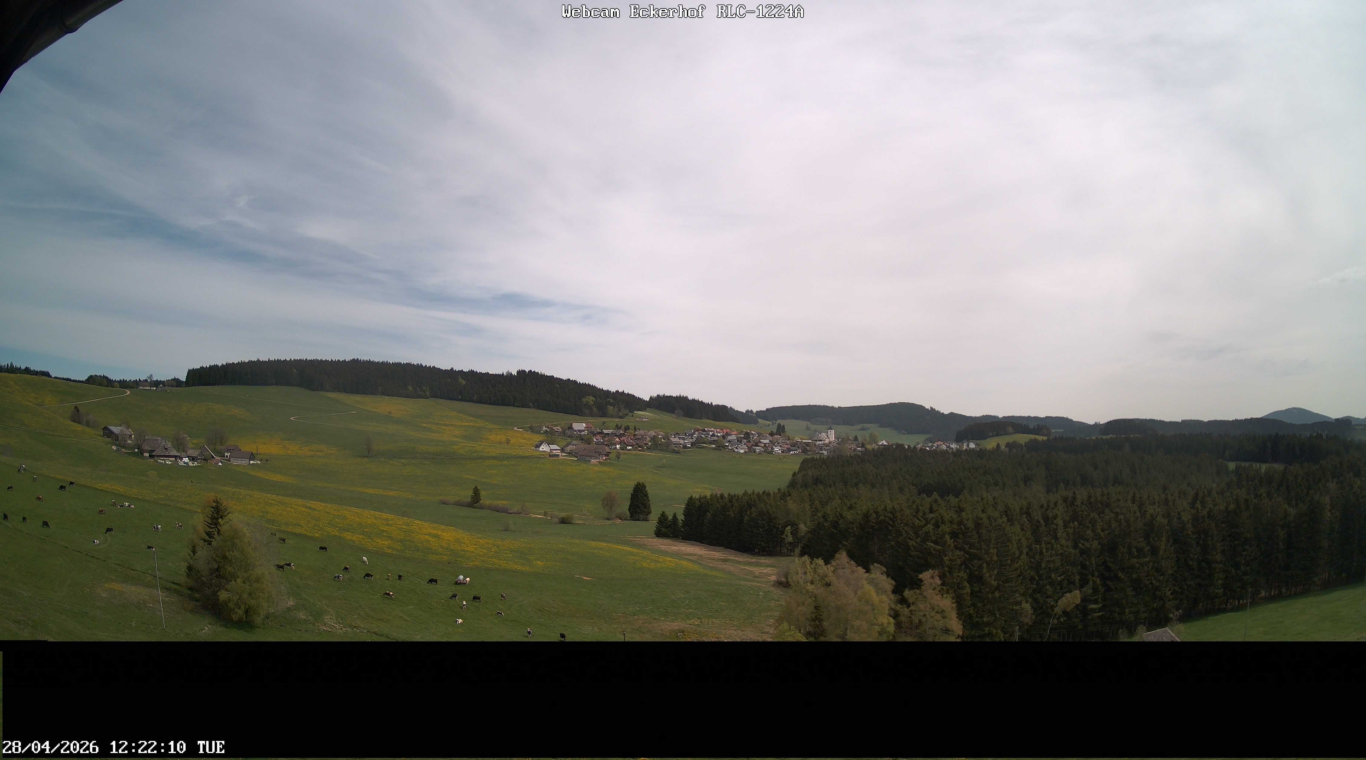 Archived image Webcam Breitnau (Black Forest)