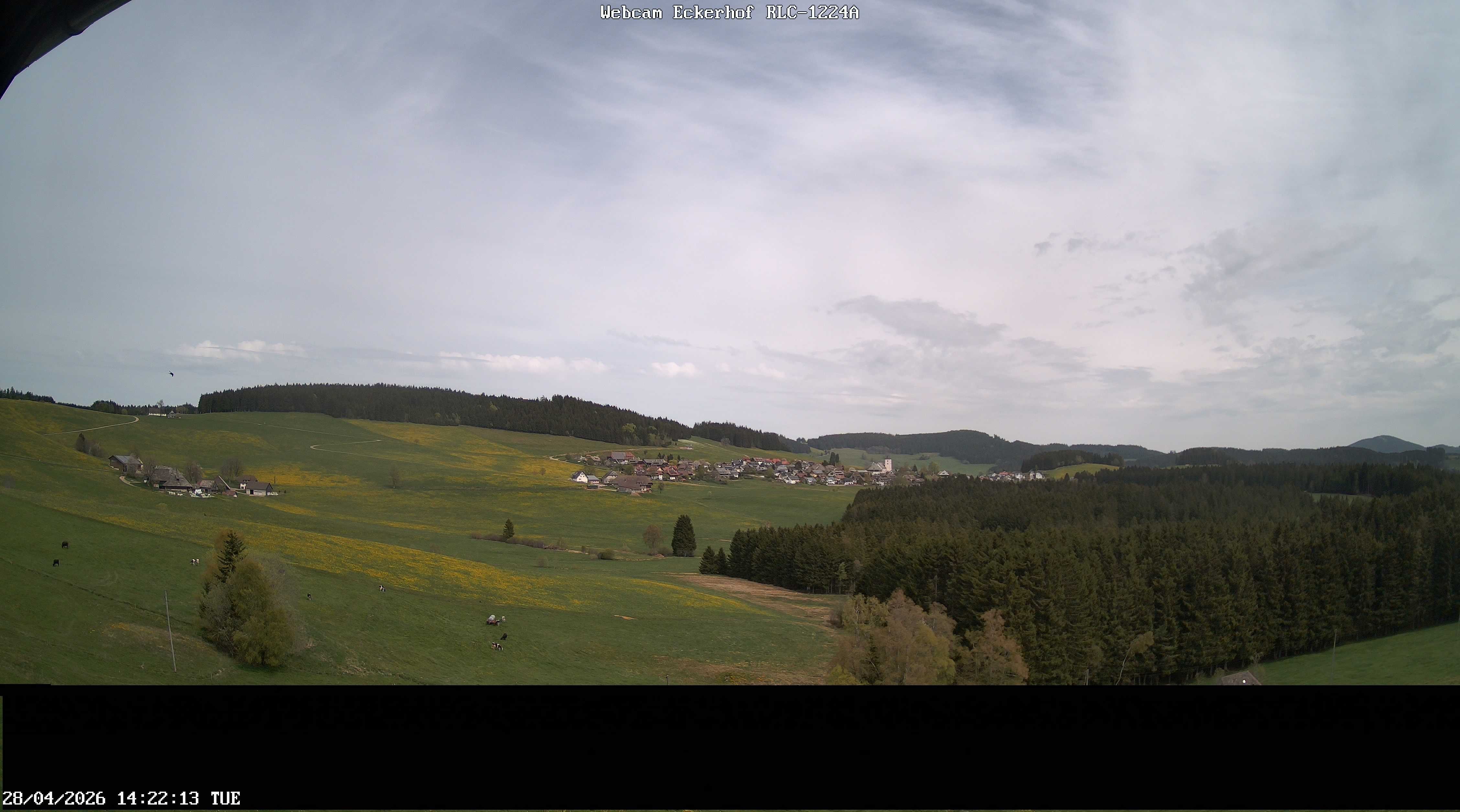 Archived image Webcam Breitnau (Black Forest)
