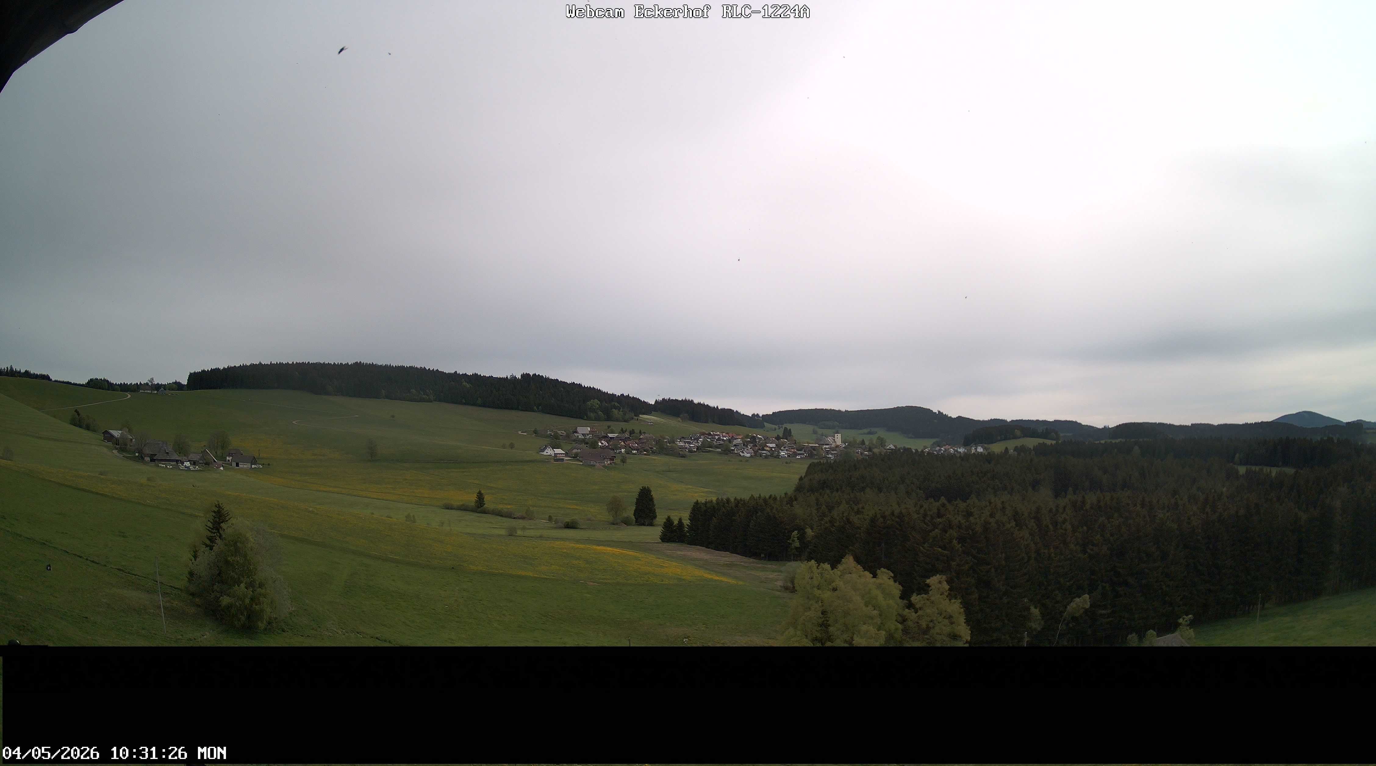 Archived image Webcam Breitnau (Black Forest)