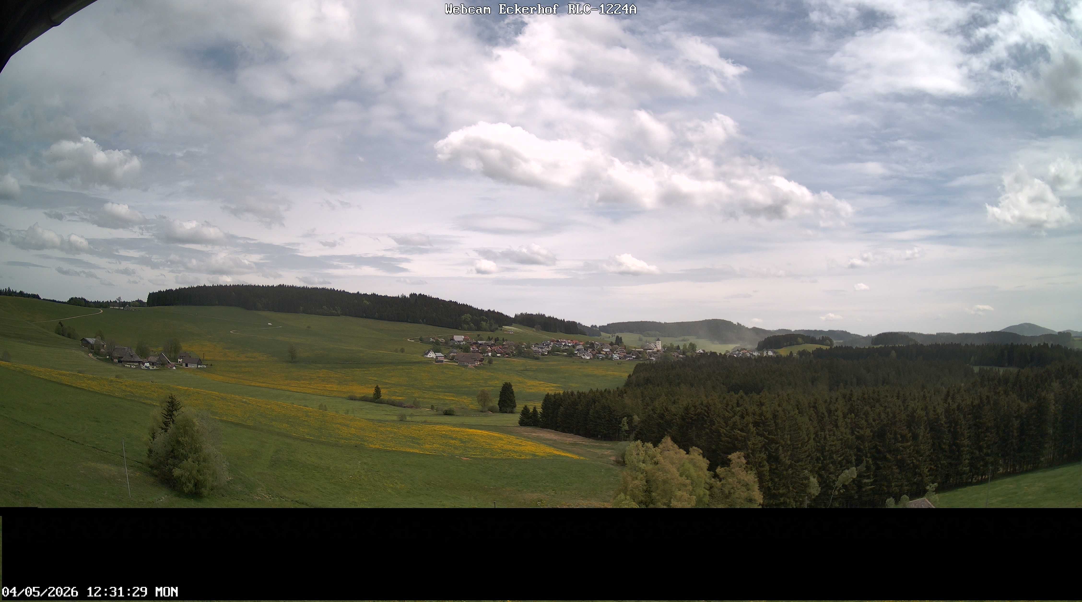Archiv Foto Webcam Breitnau (Schwarzwald)