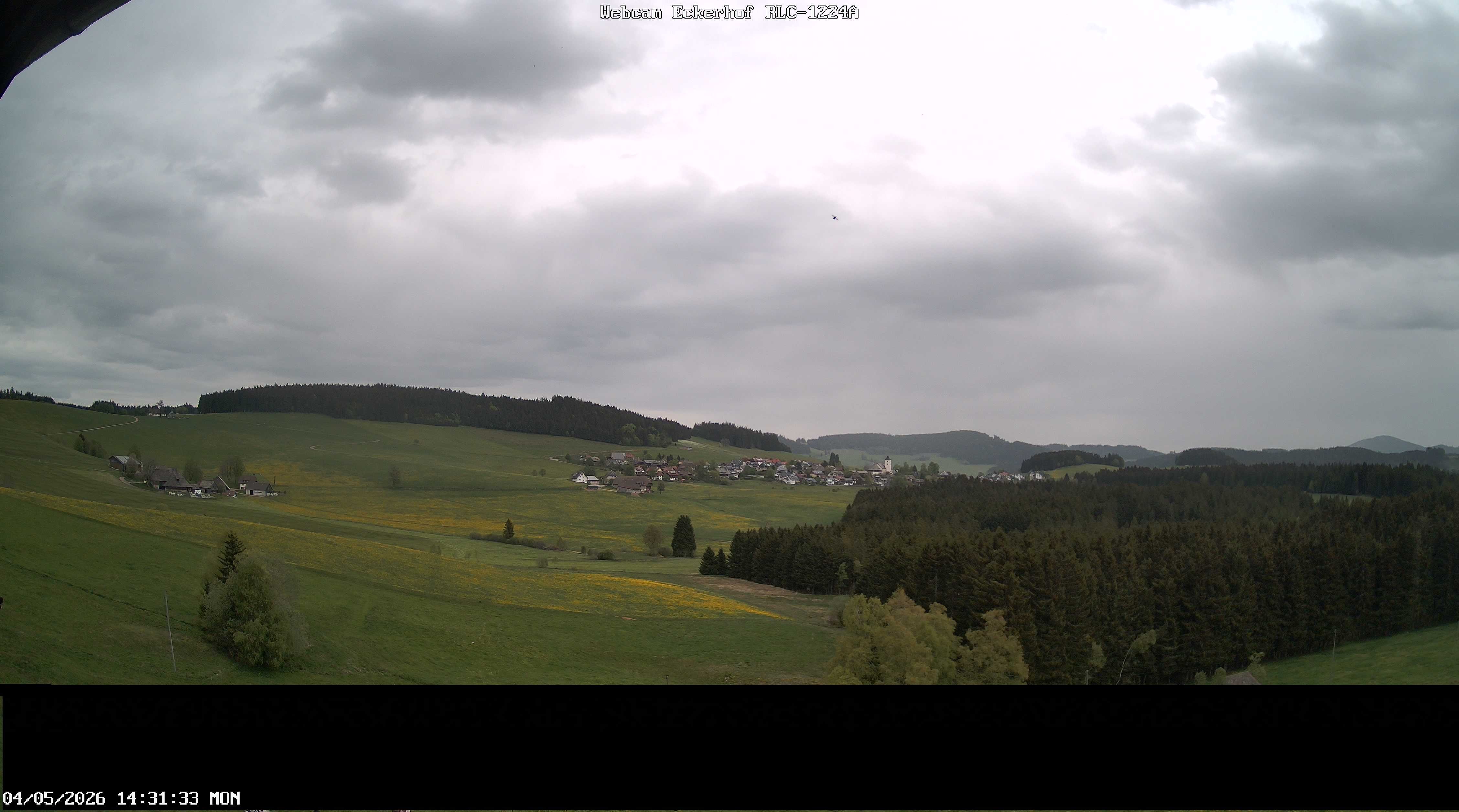 Archiv Foto Webcam Breitnau (Schwarzwald)