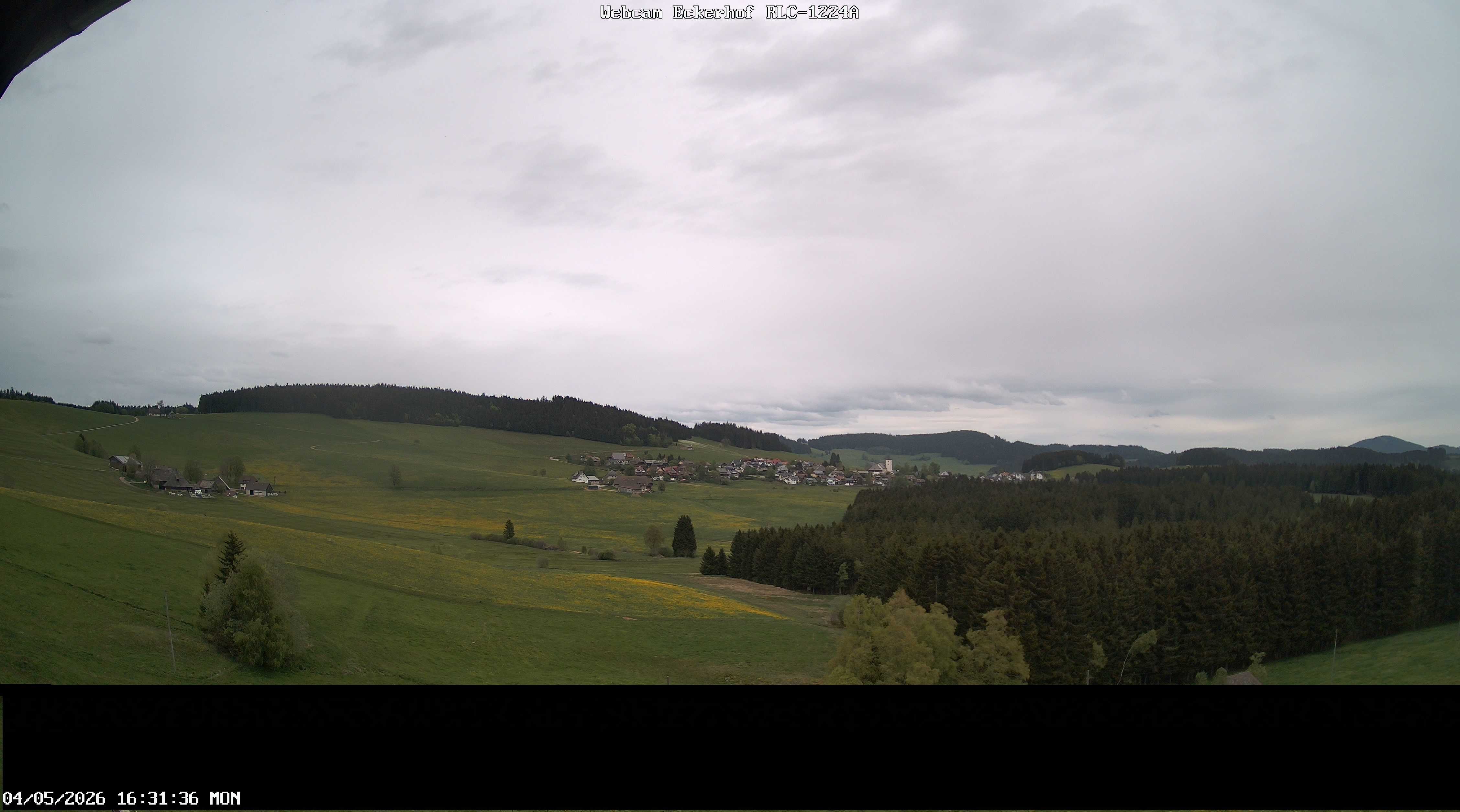 Archiv Foto Webcam Breitnau (Schwarzwald)