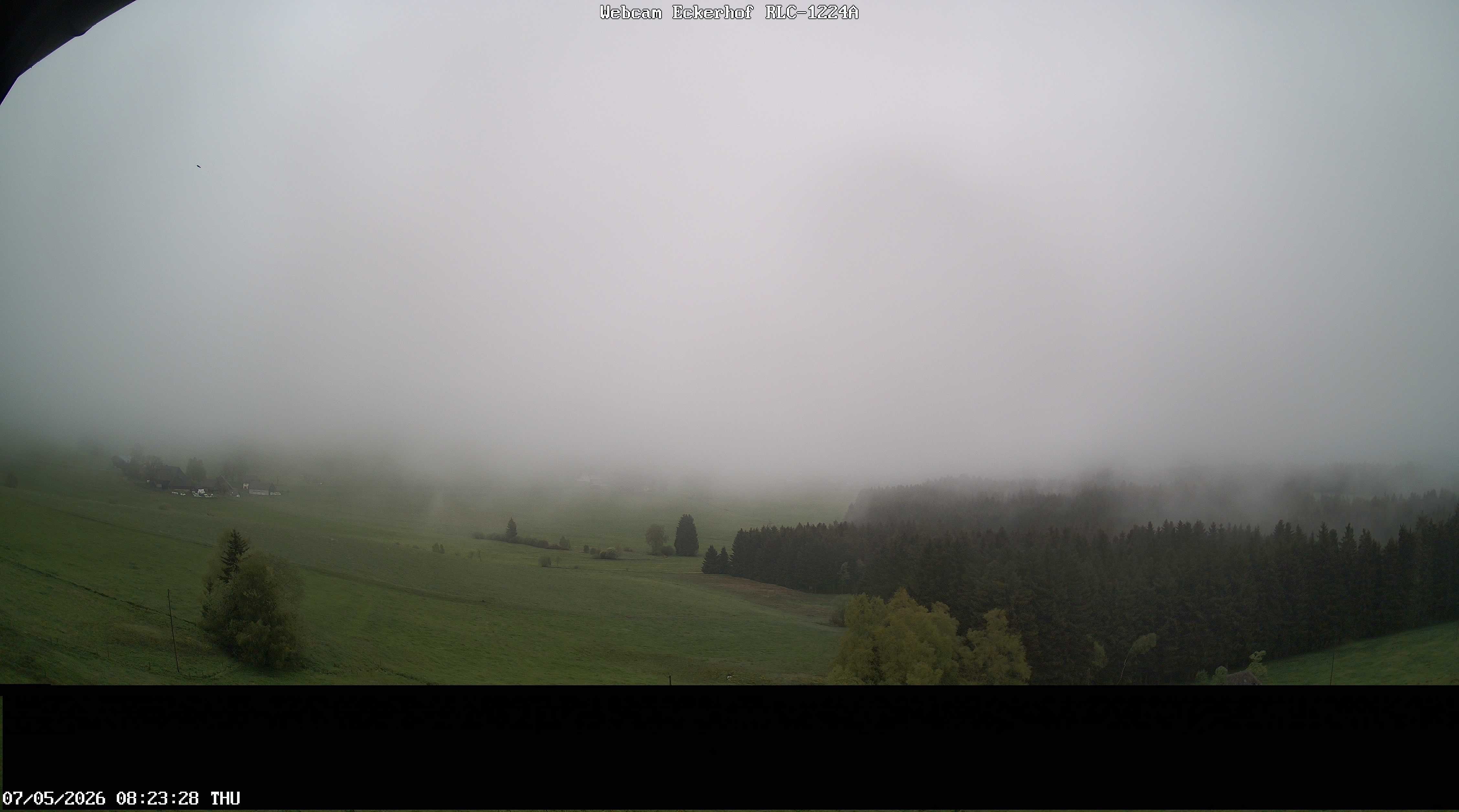 Archiv Foto Webcam Breitnau (Schwarzwald)