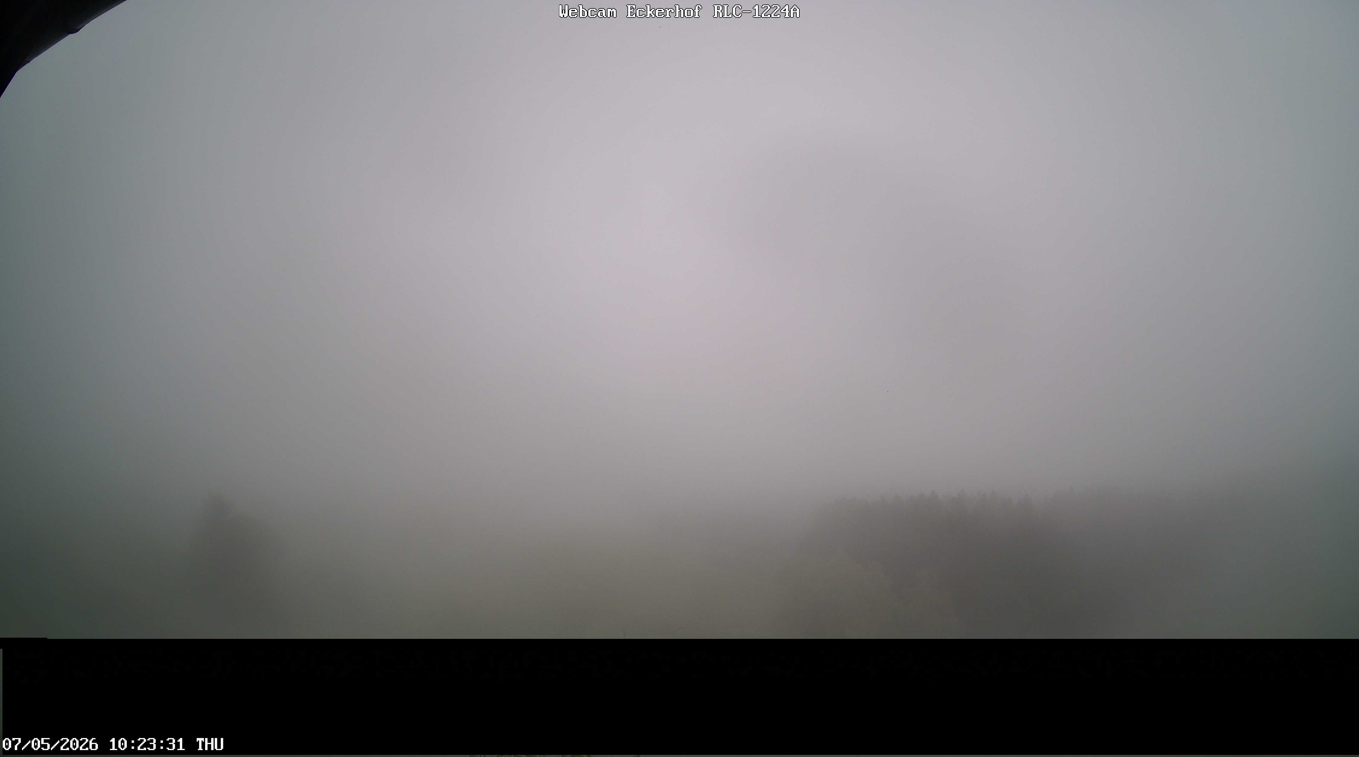 Archiv Foto Webcam Breitnau (Schwarzwald)