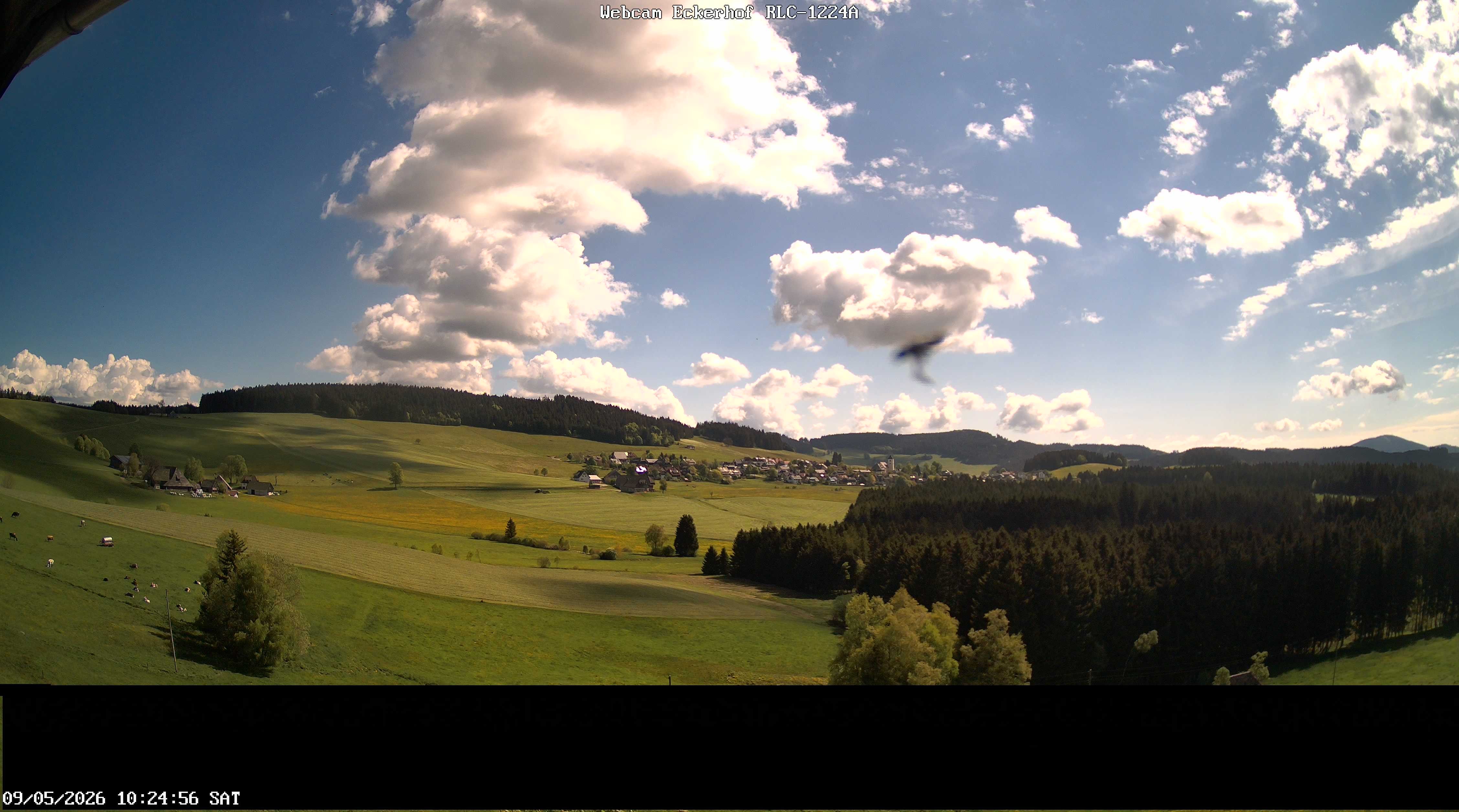 Archiv Foto Webcam Breitnau (Schwarzwald)