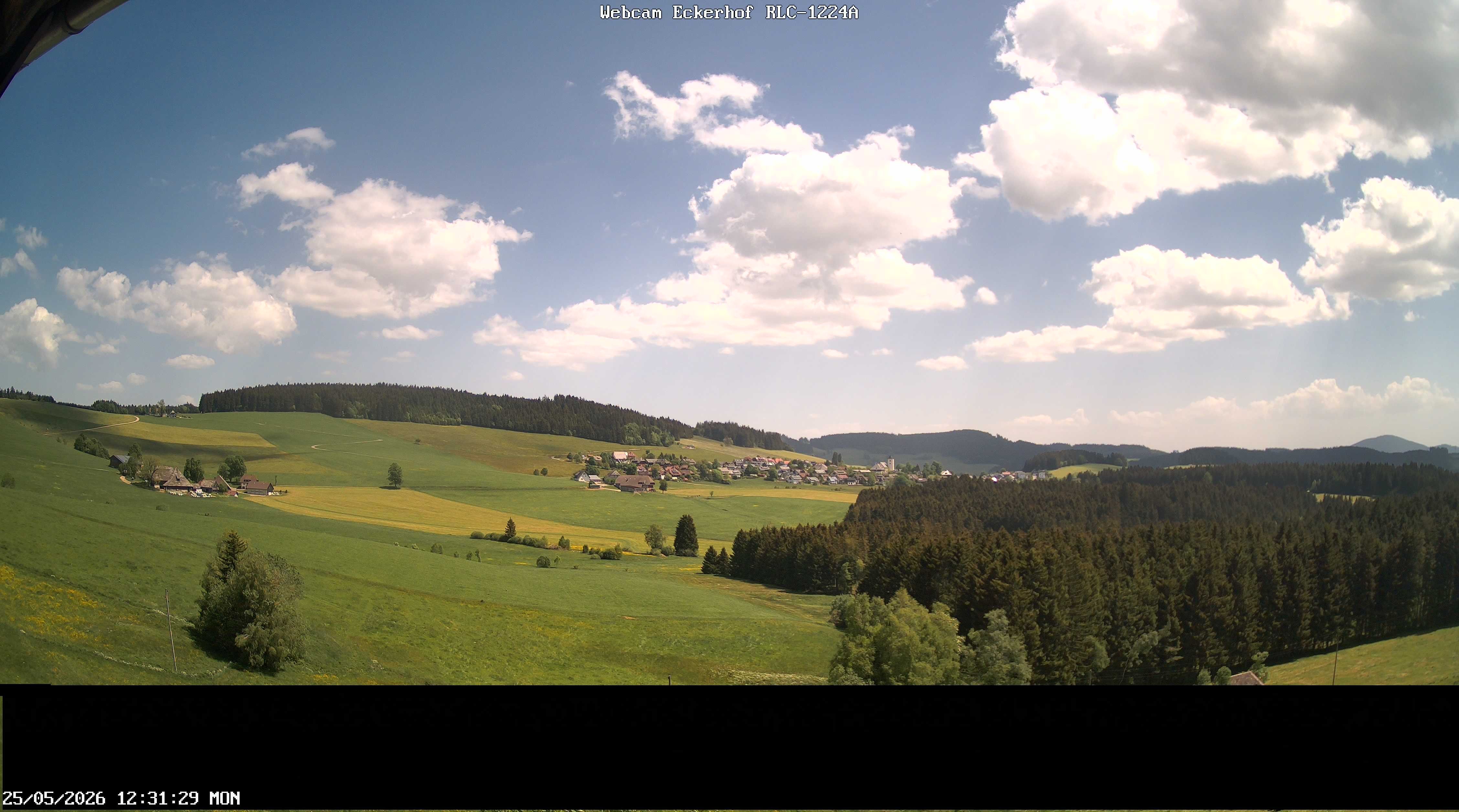 Archived image Webcam Breitnau (Black Forest)