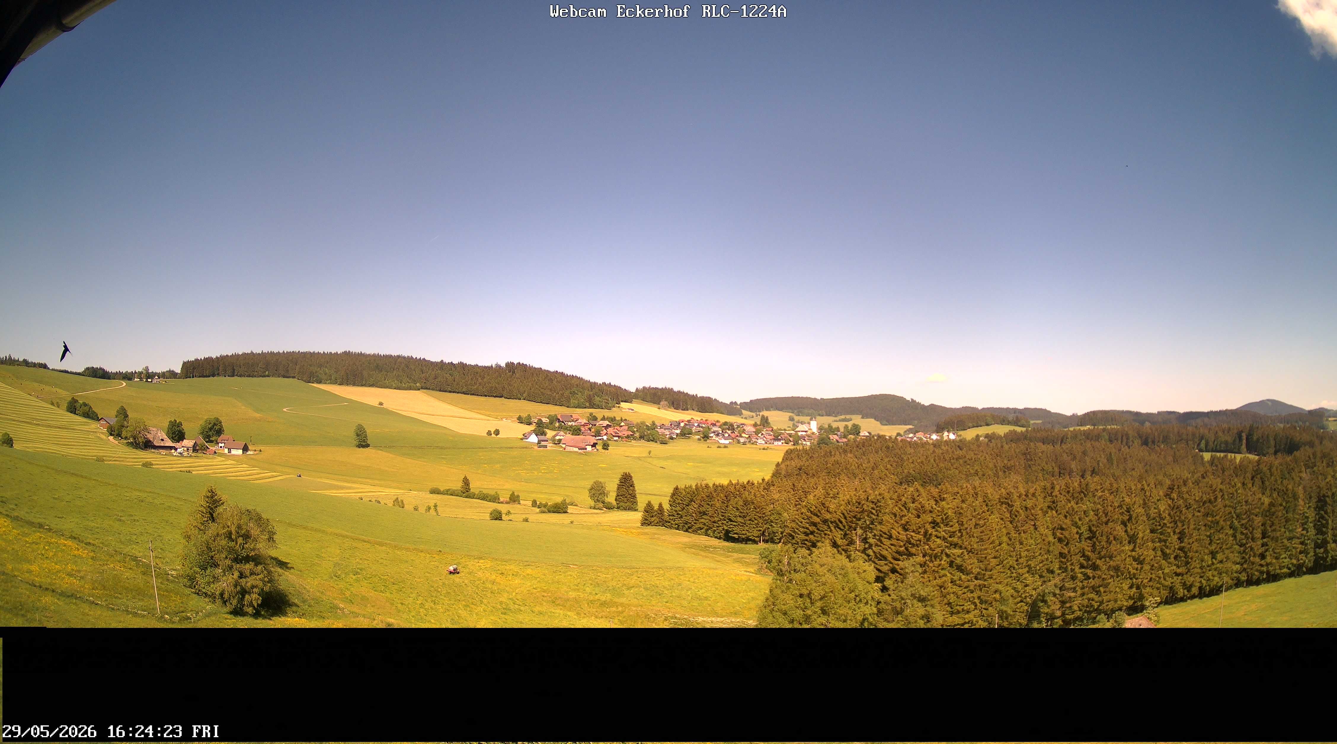 Archiv Foto Webcam Breitnau (Schwarzwald)
