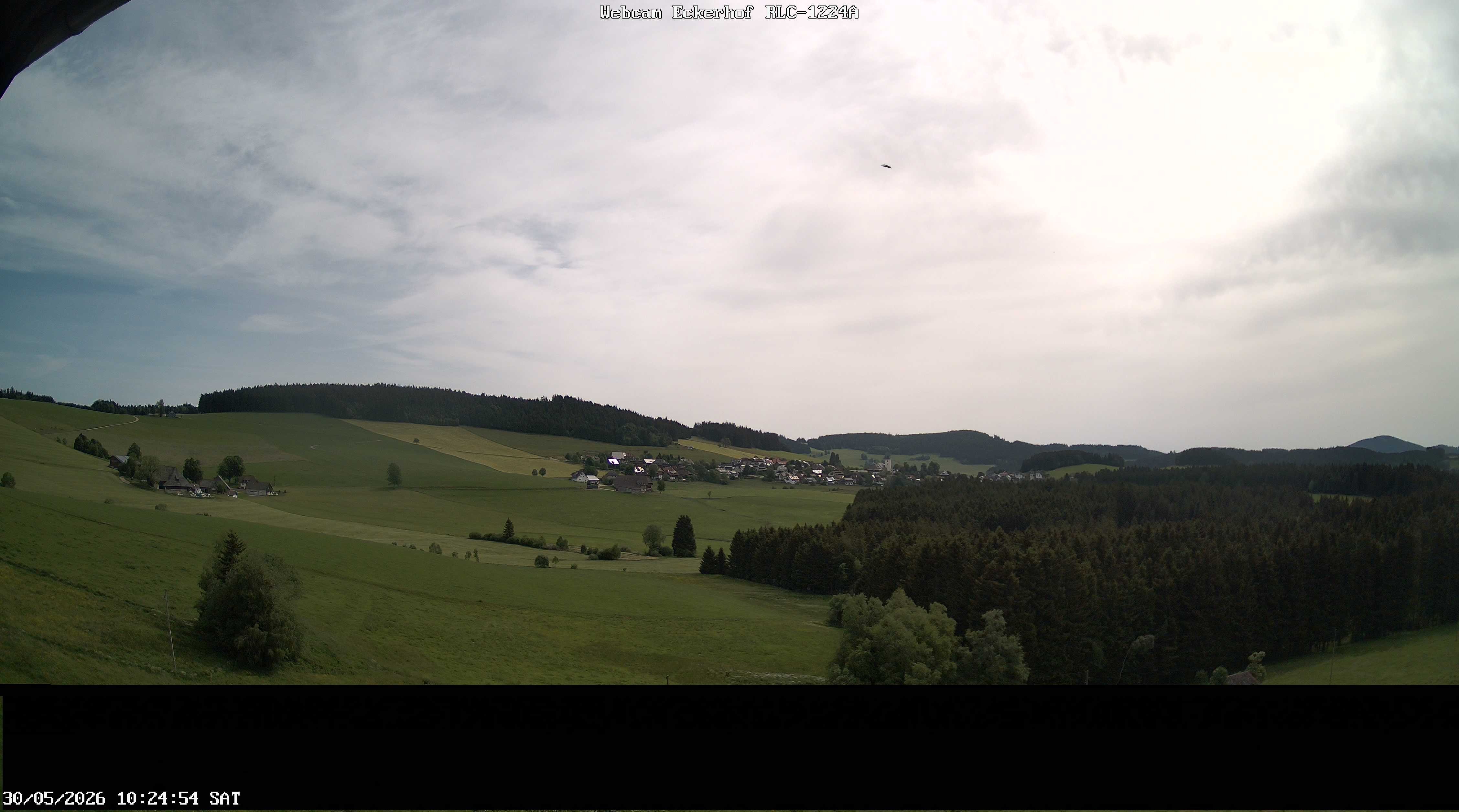 Archiv Foto Webcam Breitnau (Schwarzwald)