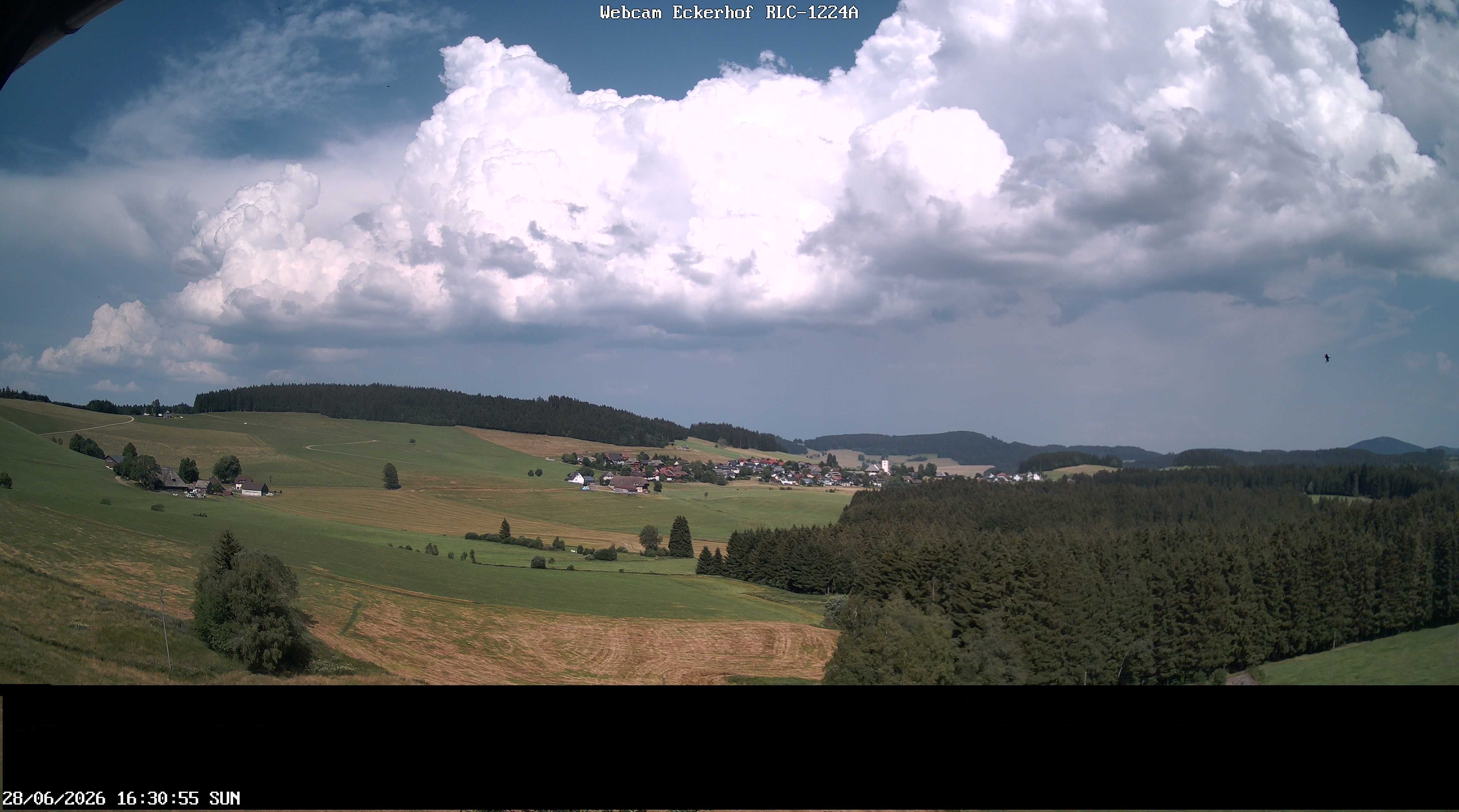Archiv Foto Webcam Breitnau (Schwarzwald)