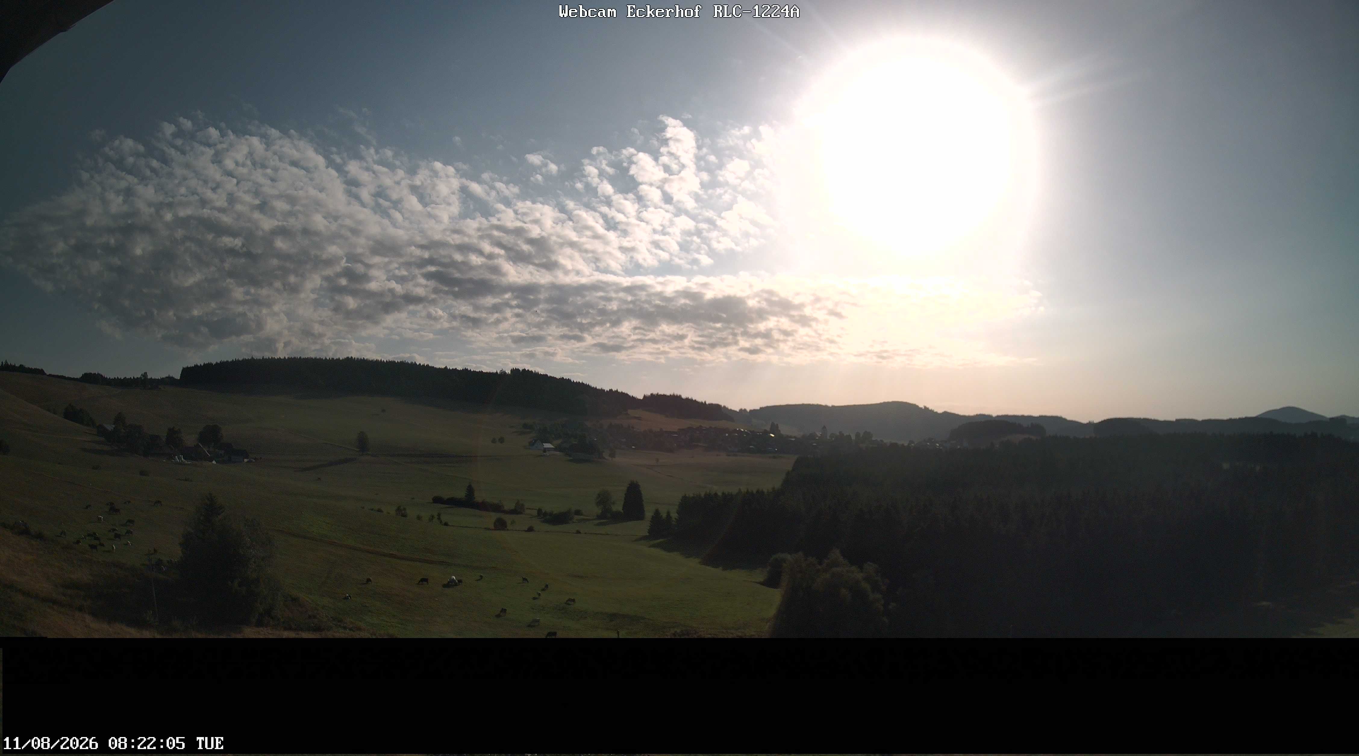 Archiv Foto Webcam Breitnau (Schwarzwald)