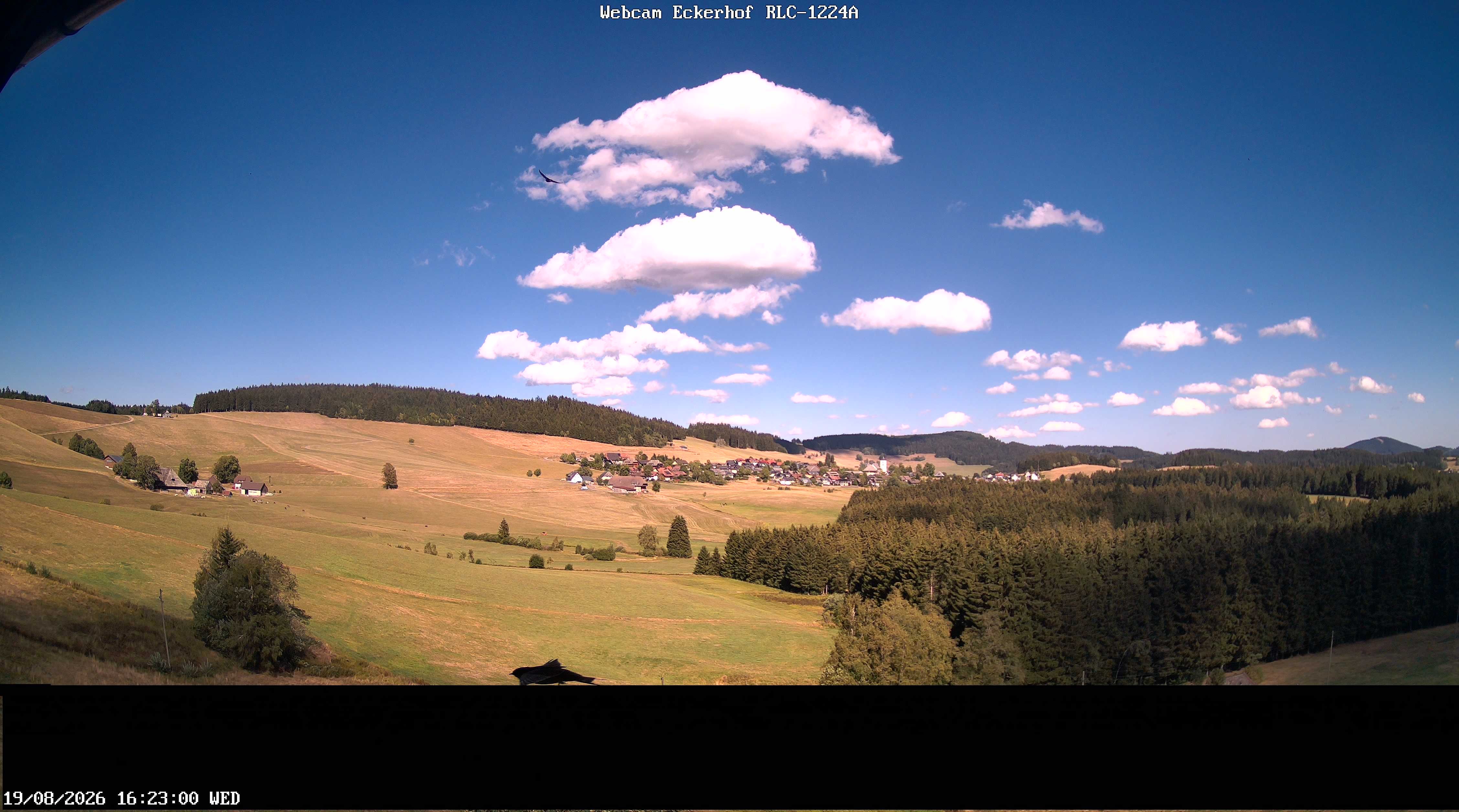 Archiv Foto Webcam Breitnau (Schwarzwald)