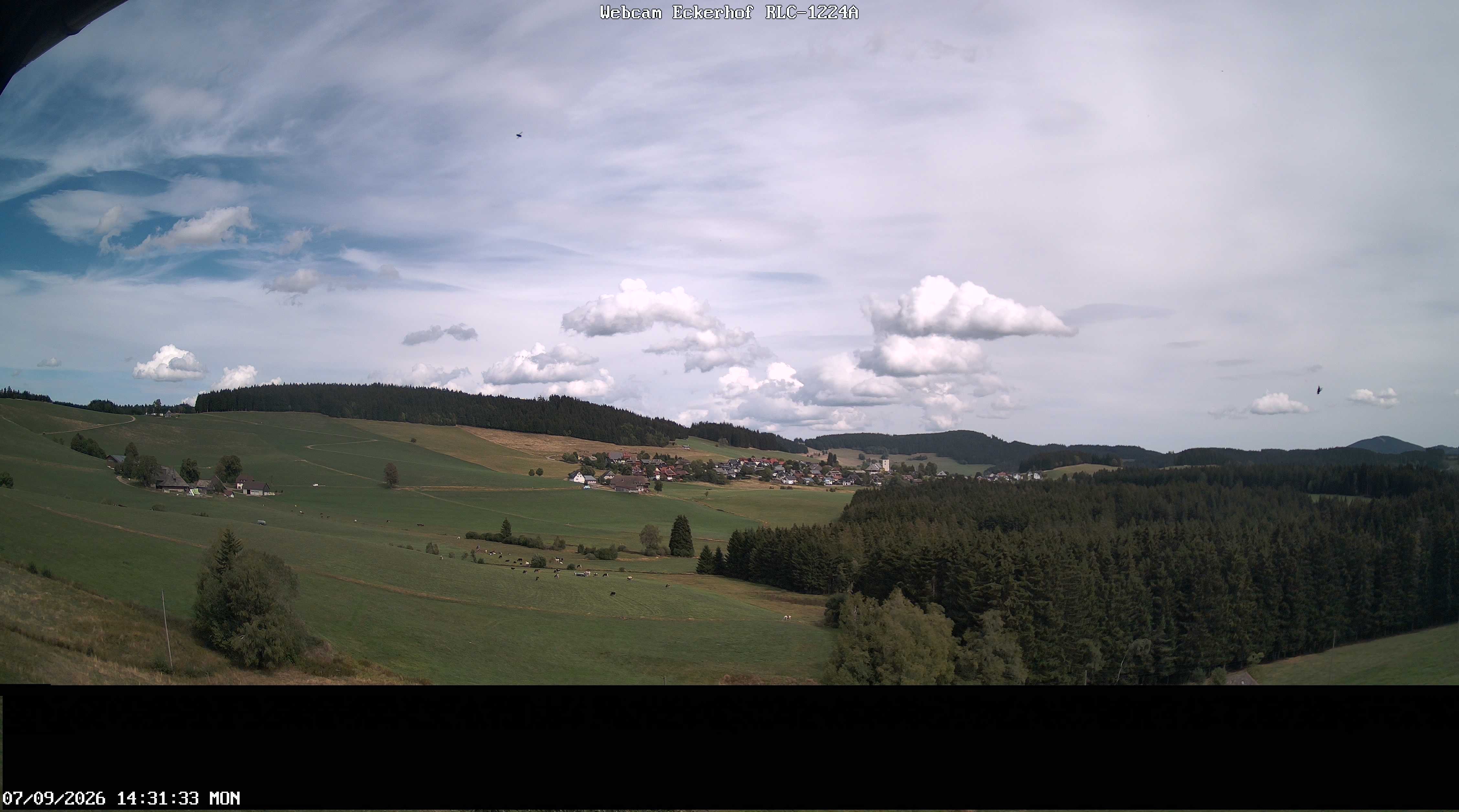 Archiv Foto Webcam Breitnau (Schwarzwald)