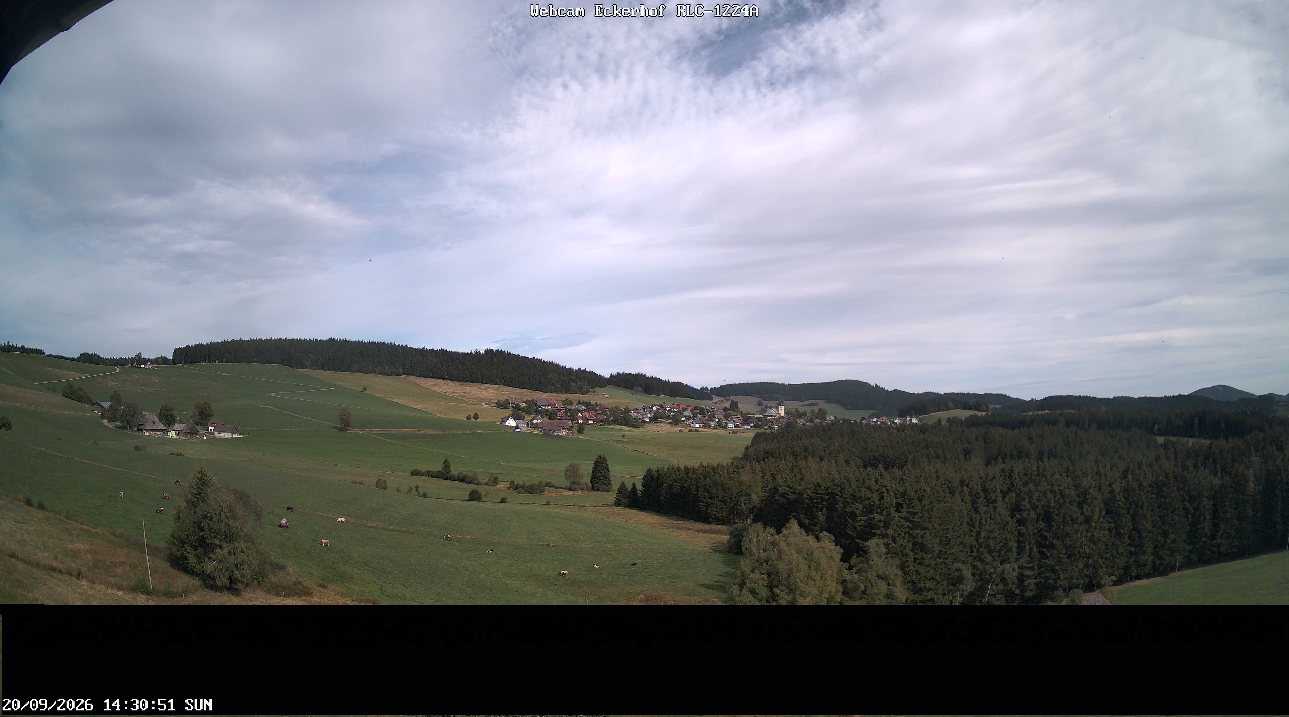 Archiv Foto Webcam Breitnau (Schwarzwald)