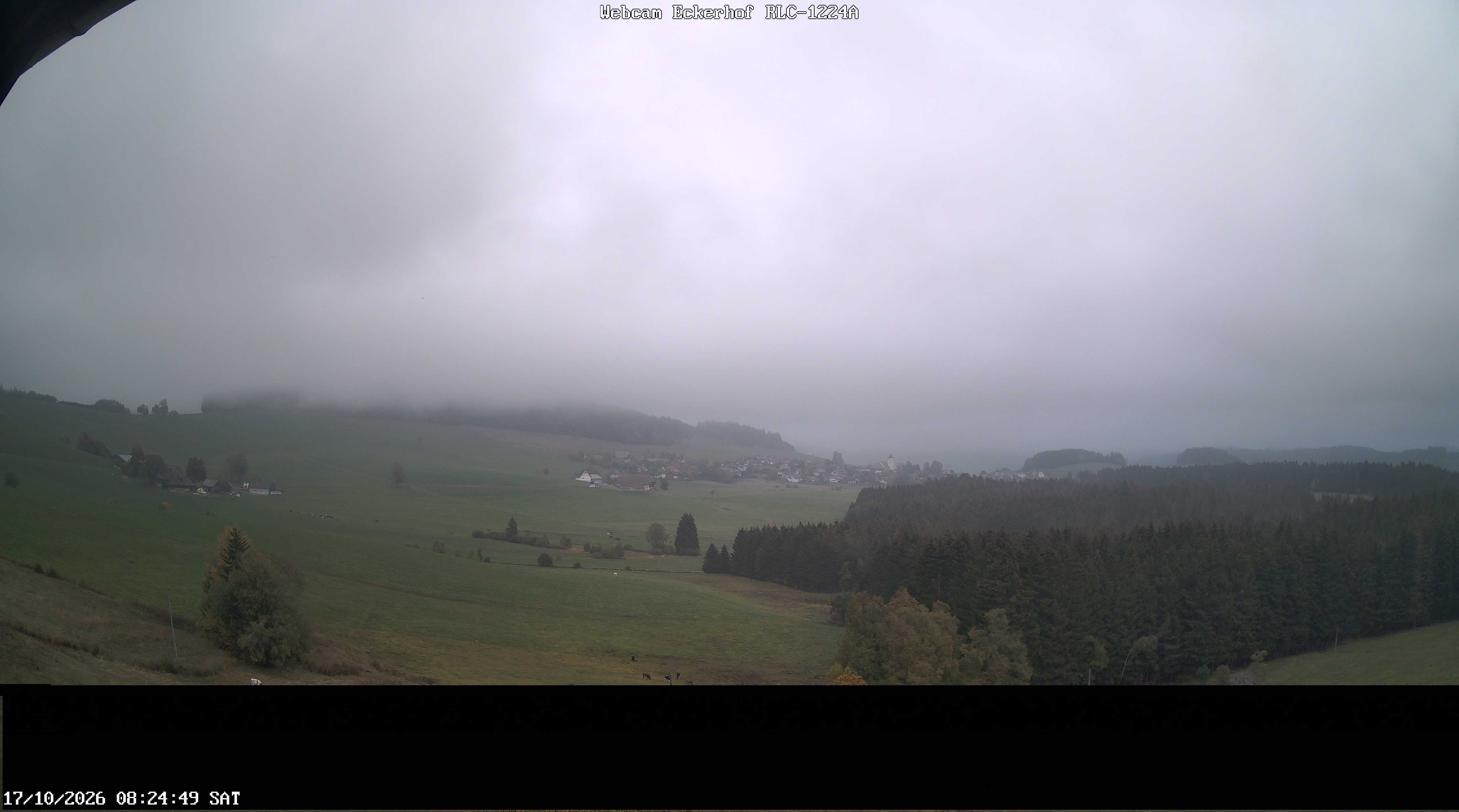 Archiv Foto Webcam Breitnau (Schwarzwald)