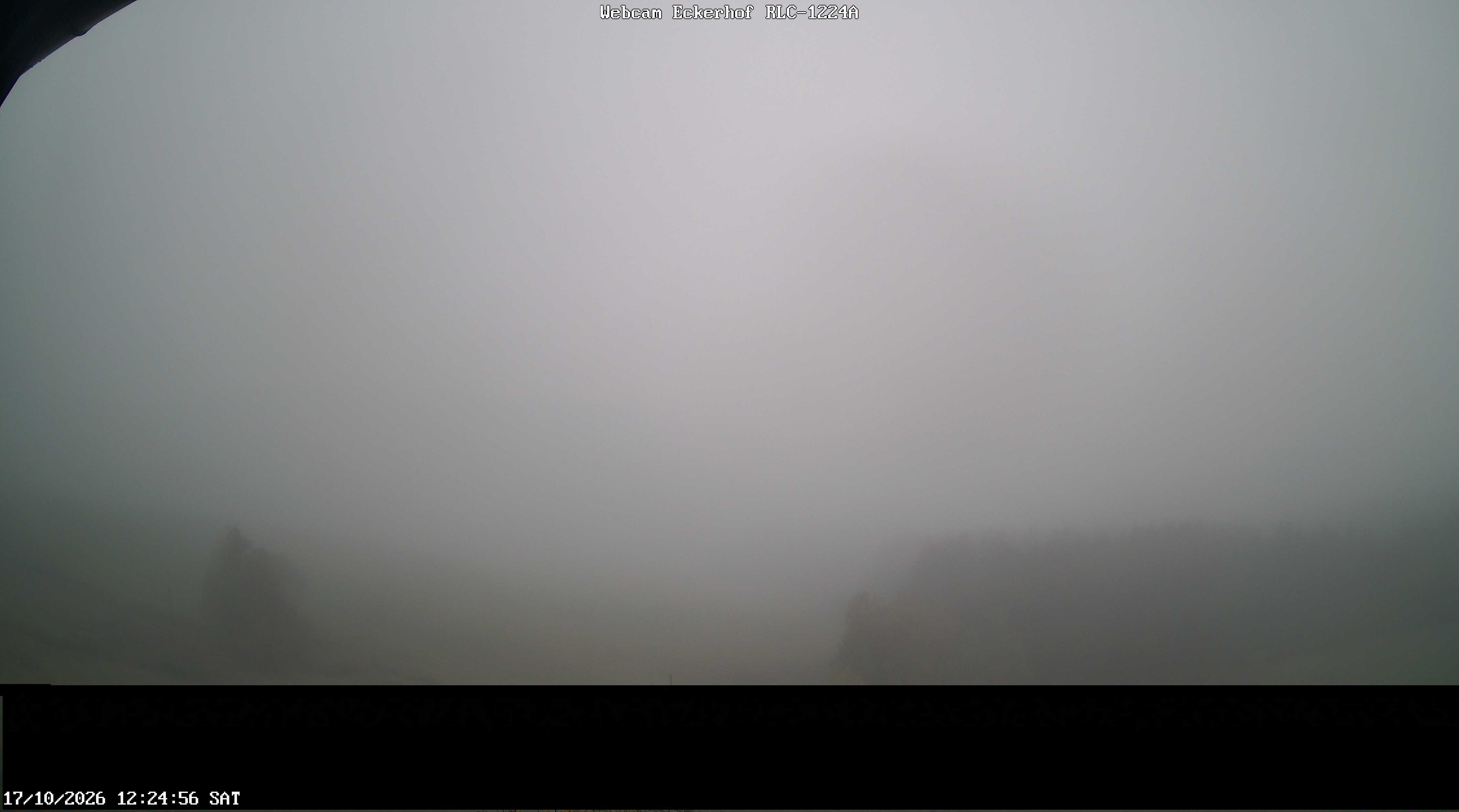 Archiv Foto Webcam Breitnau (Schwarzwald)