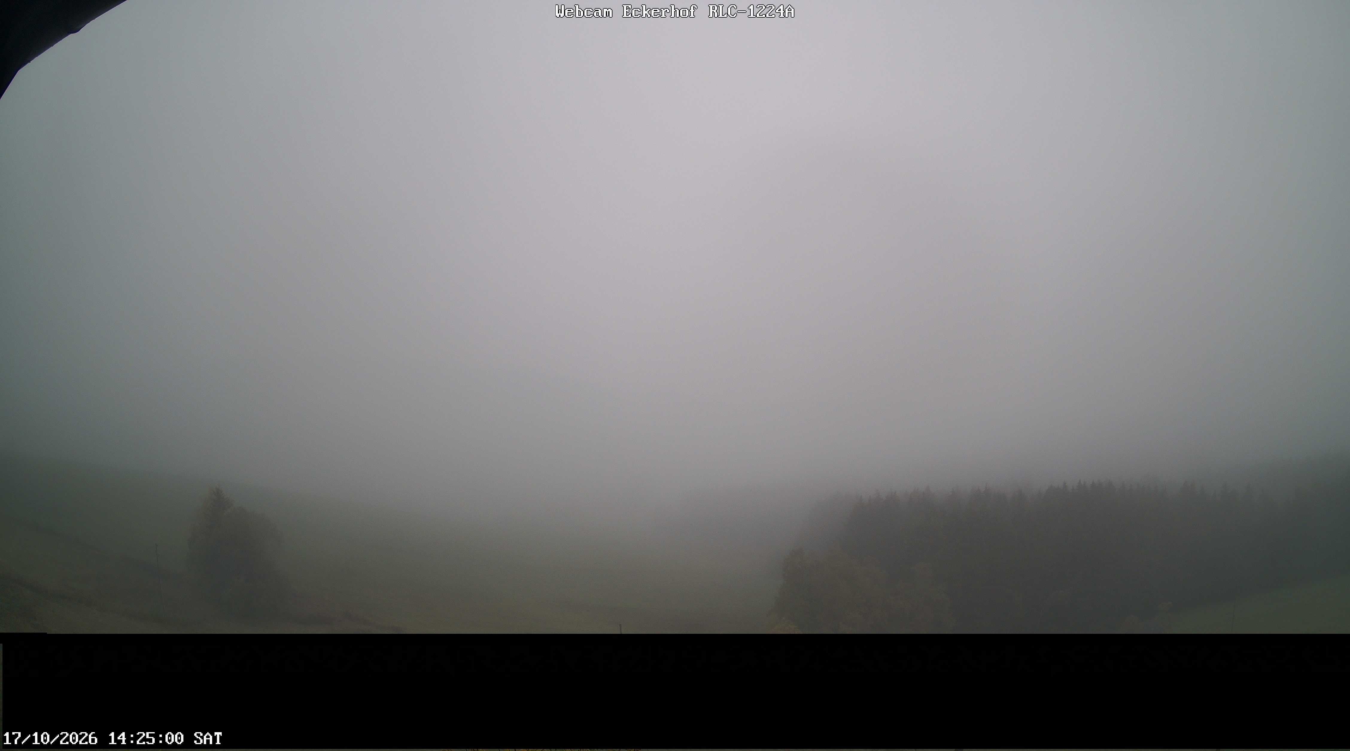 Archiv Foto Webcam Breitnau (Schwarzwald)