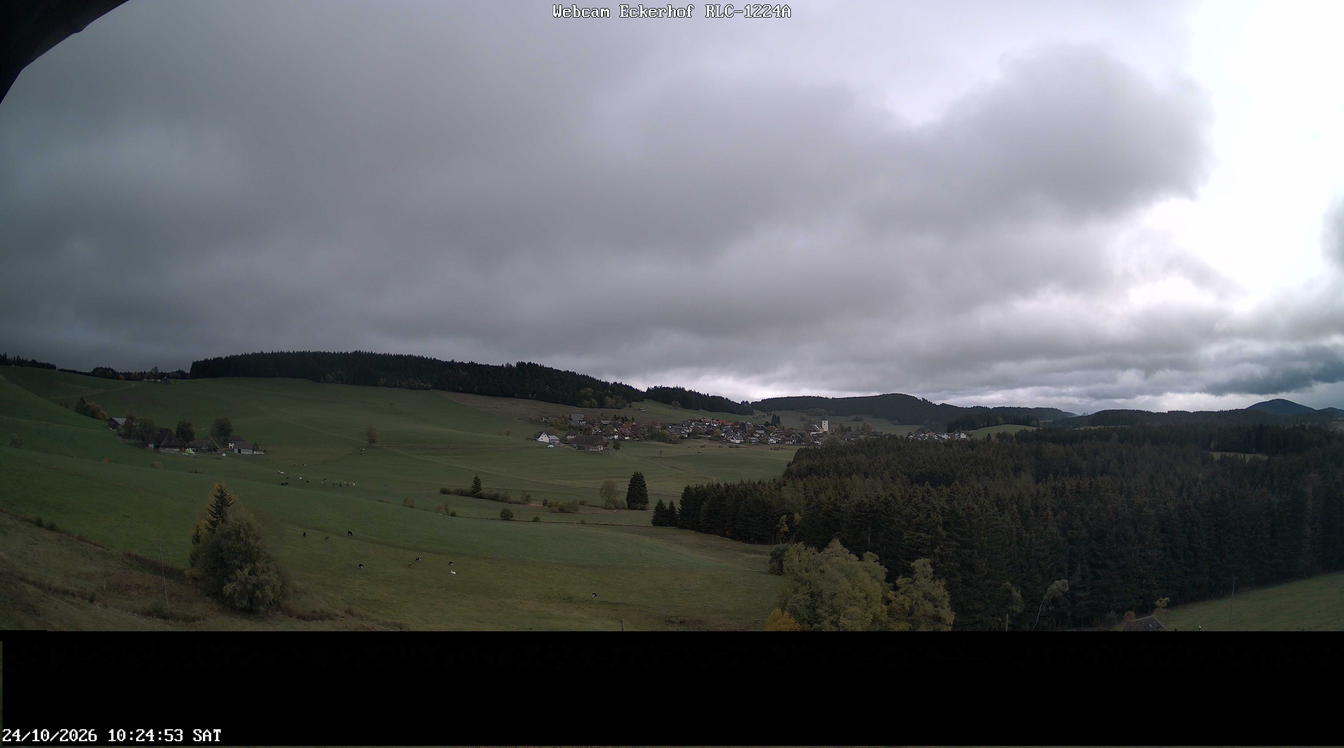 Archived image Webcam Breitnau (Black Forest)