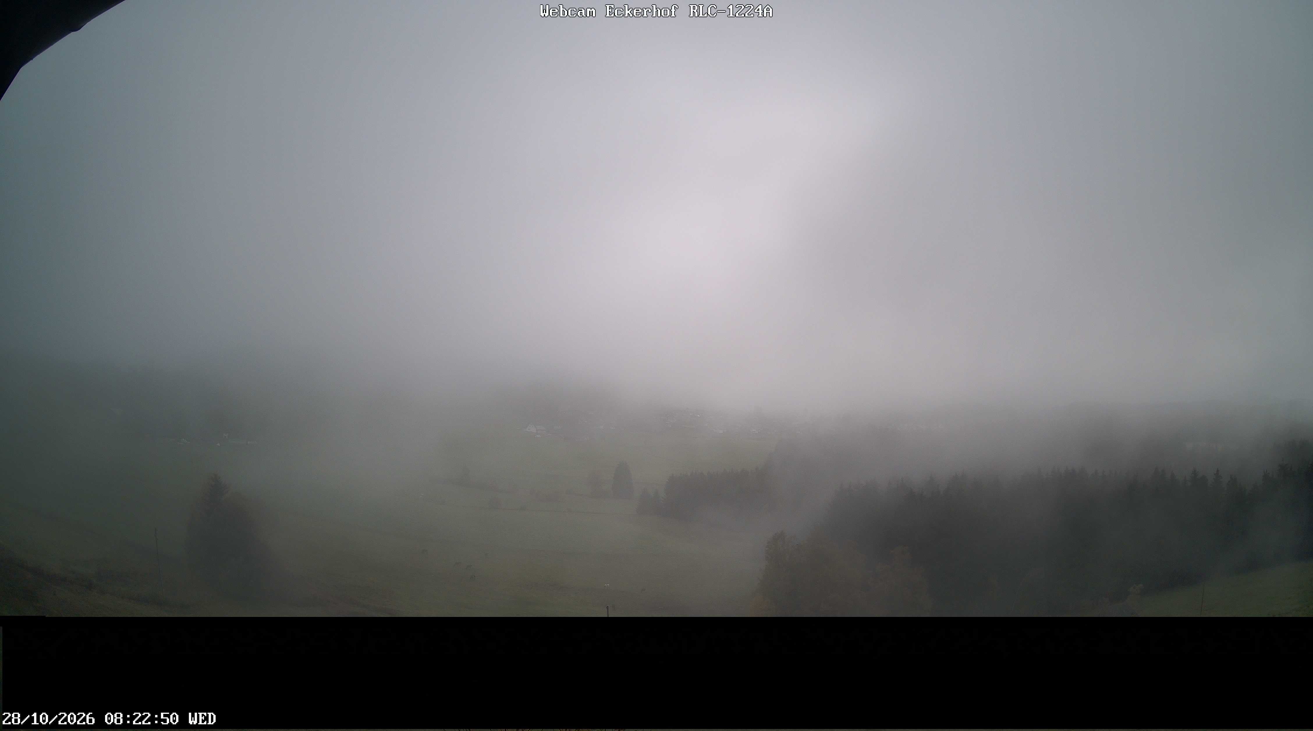 Archiv Foto Webcam Breitnau (Schwarzwald)