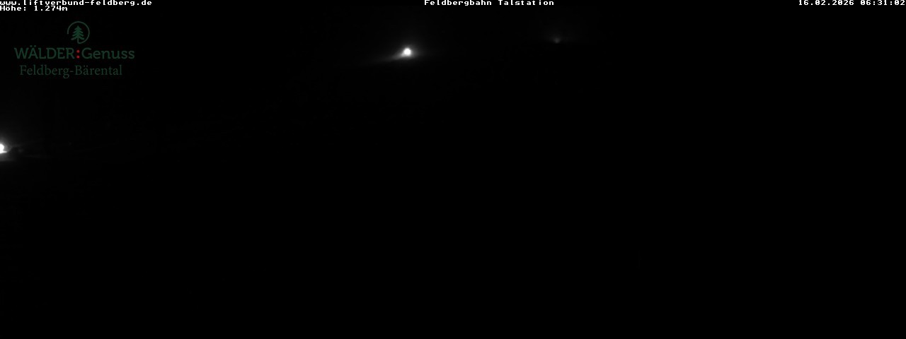 Archiv Foto Webcam Feldberg Seebuck Talstation