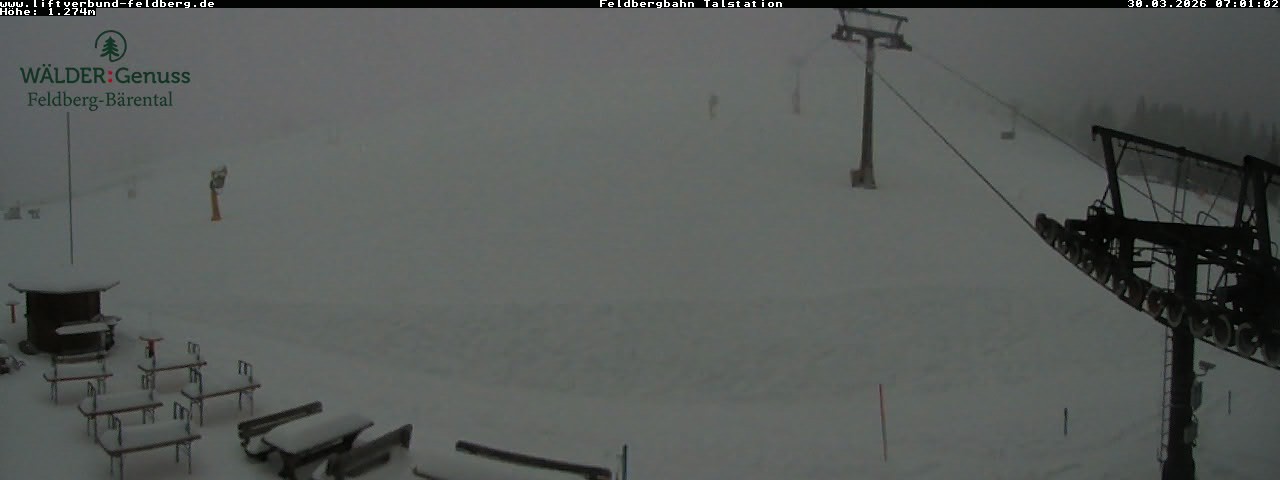 Archiv Foto Webcam Feldberg Seebuck Talstation