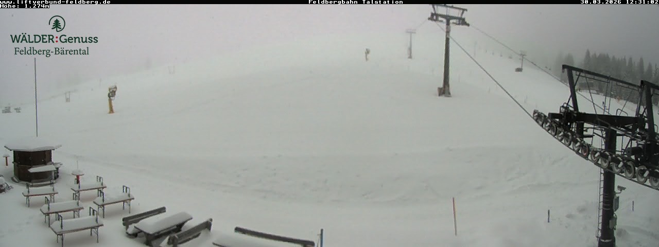 Archiv Foto Webcam Feldberg Seebuck Talstation