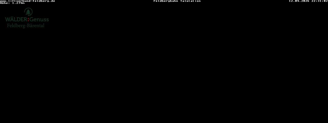 Archived image Webcam Feldberg Seebuck valley station