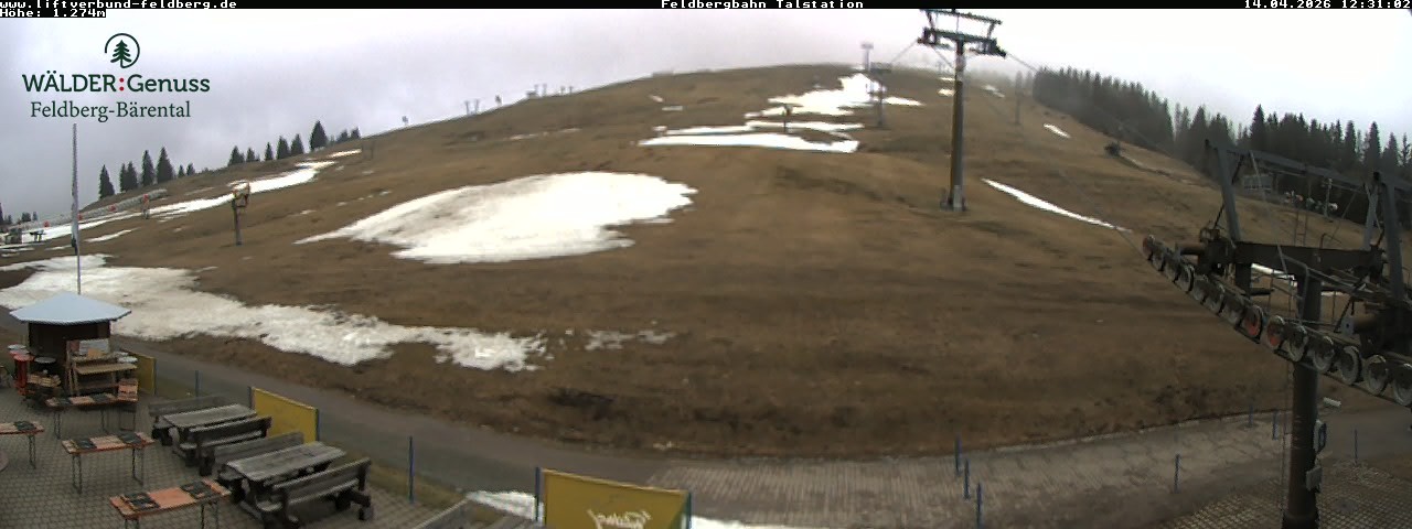 Archiv Foto Webcam Feldberg Seebuck Talstation
