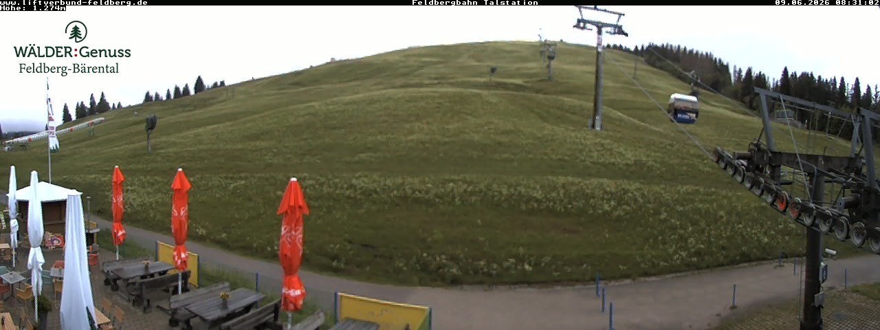 Archiv Foto Webcam Feldberg Seebuck Talstation