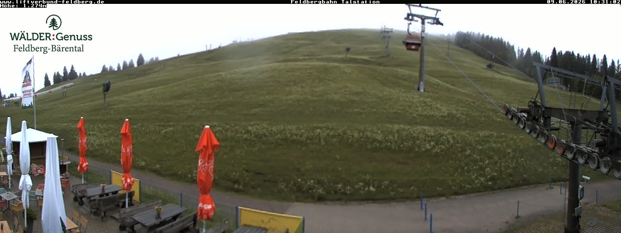 Archiv Foto Webcam Feldberg Seebuck Talstation