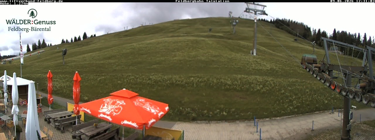 Archived image Webcam Feldberg Seebuck valley station