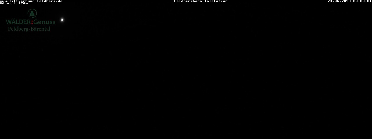 Archiv Foto Webcam Feldberg Seebuck Talstation